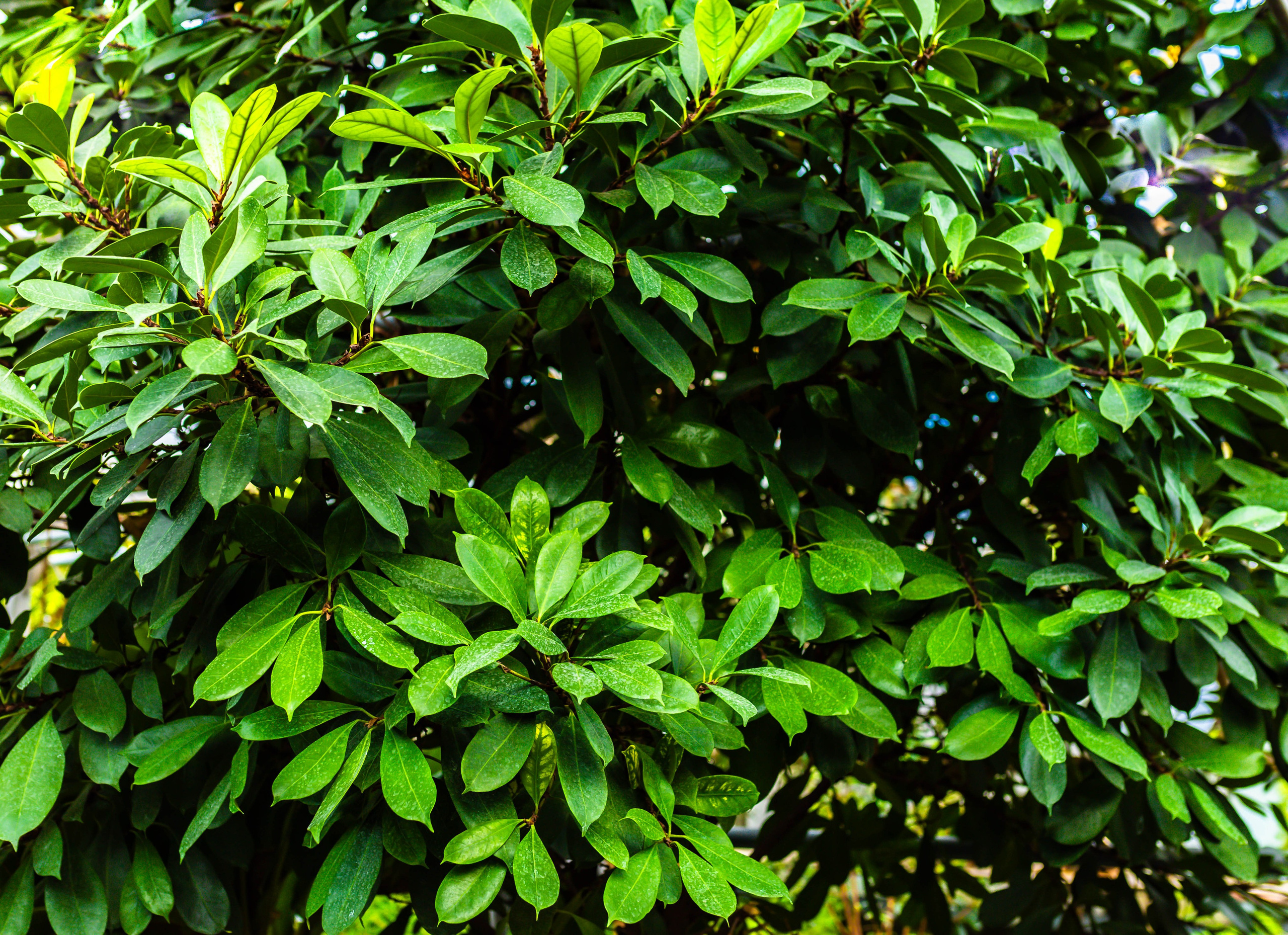 Фотографии природы Липецка. Свадебный и семейный фотограф Виолетта в Липецке