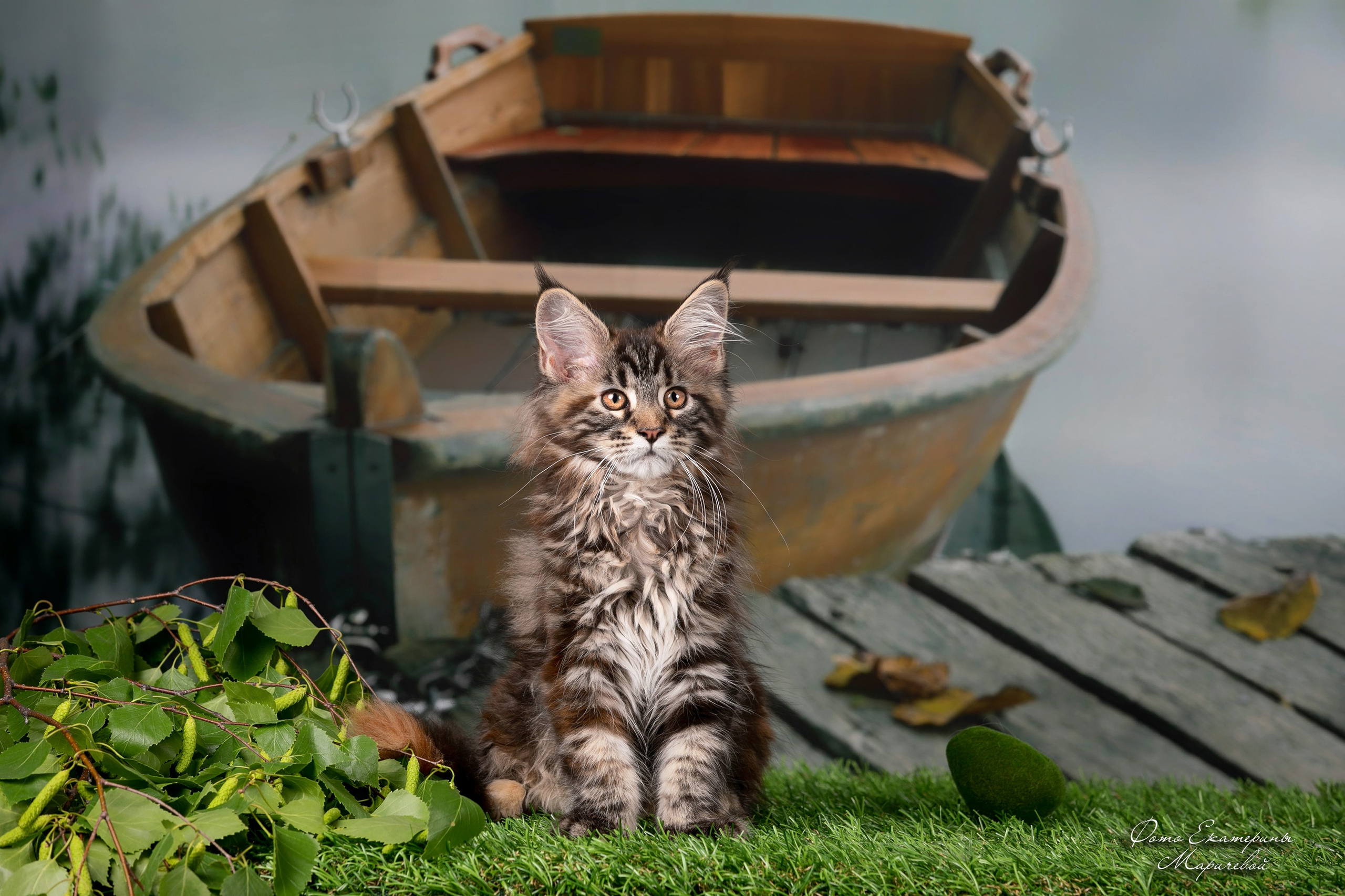 Тематические фоны с рисунком. Фотограф-анималист в Омске Екатерина Маричева