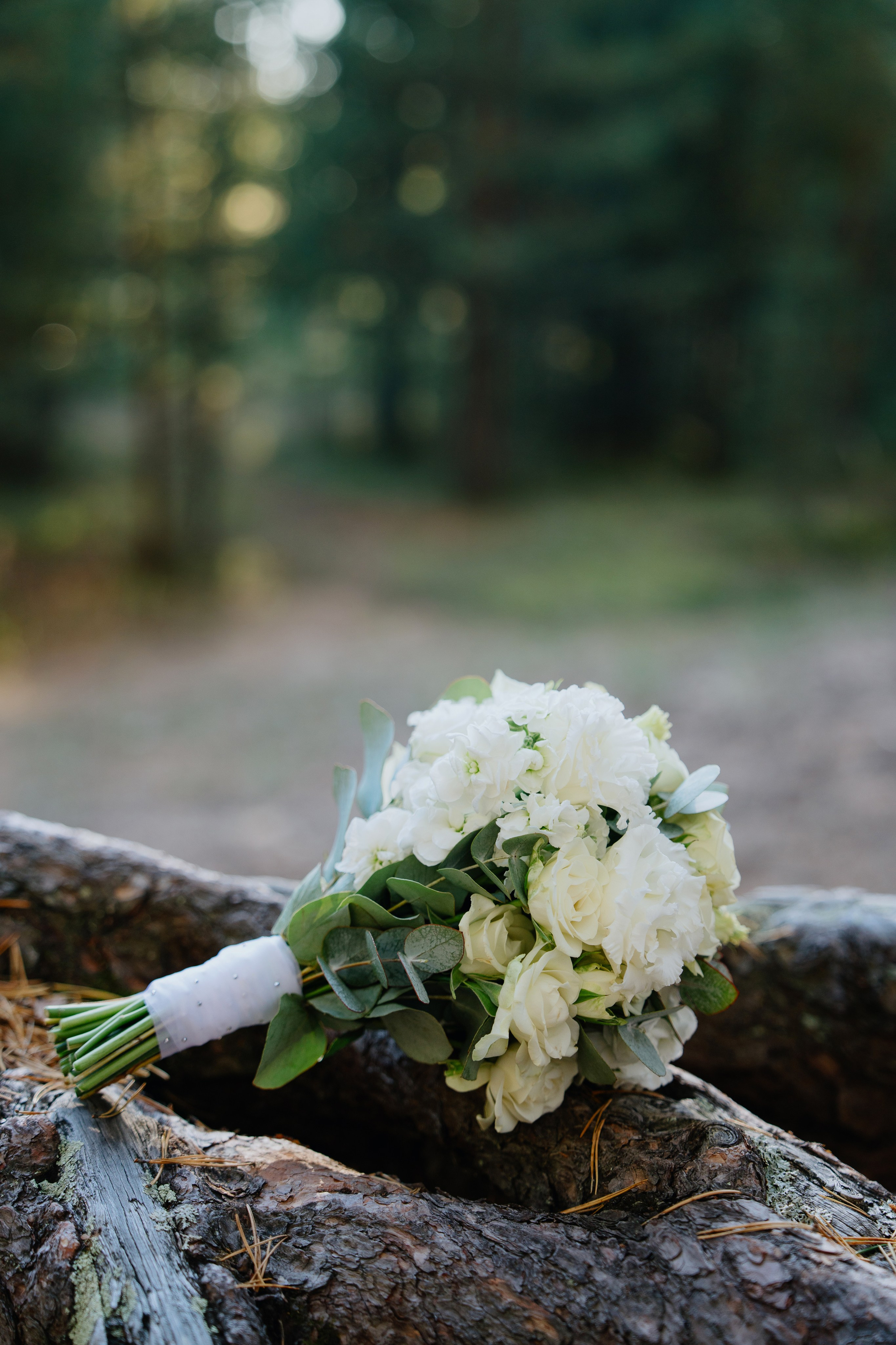 Weddings. Главная