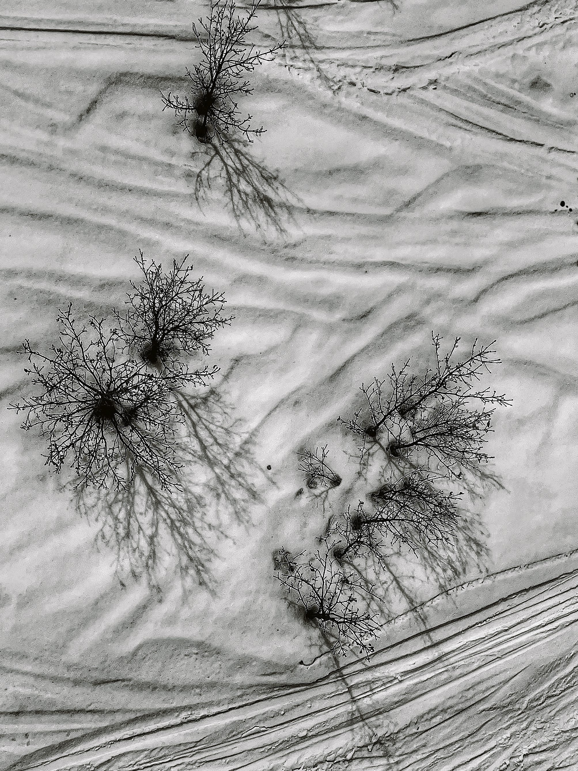 Ростов-на-Дону «МИР В ДЕТАЛЯХ». ARTEXPOPHOTO