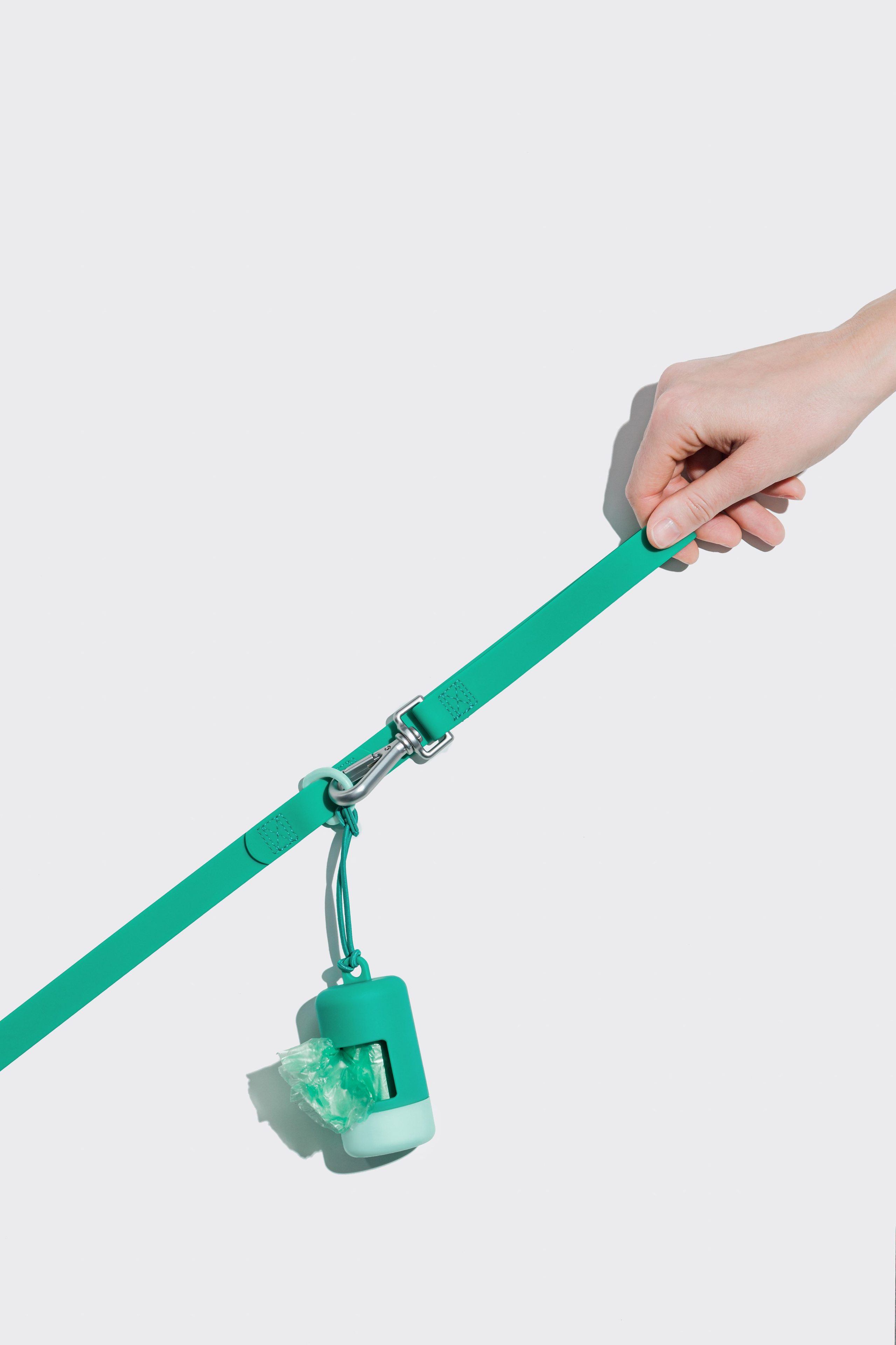 In good company для собак. Фотограф в Москве Татьяна Драгунова