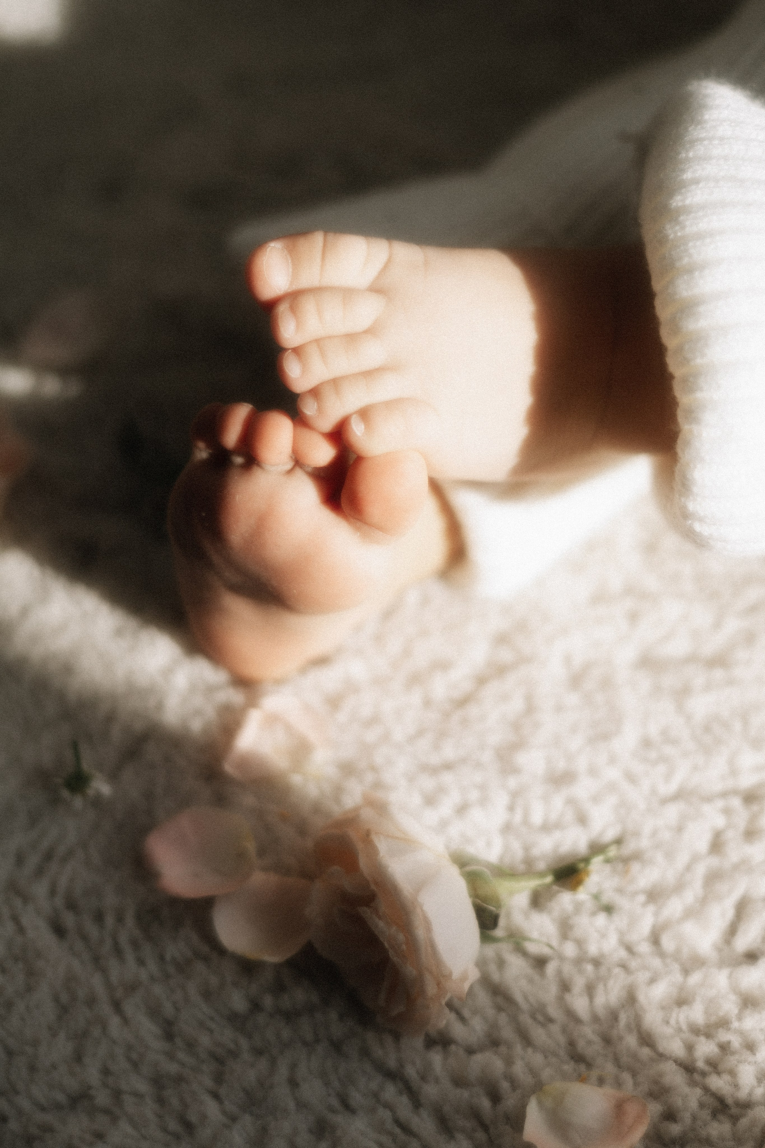 Маленькая София в цветах и лучах декабрьского солнышка. Фотограф в Крыму | Виктория Нотевская