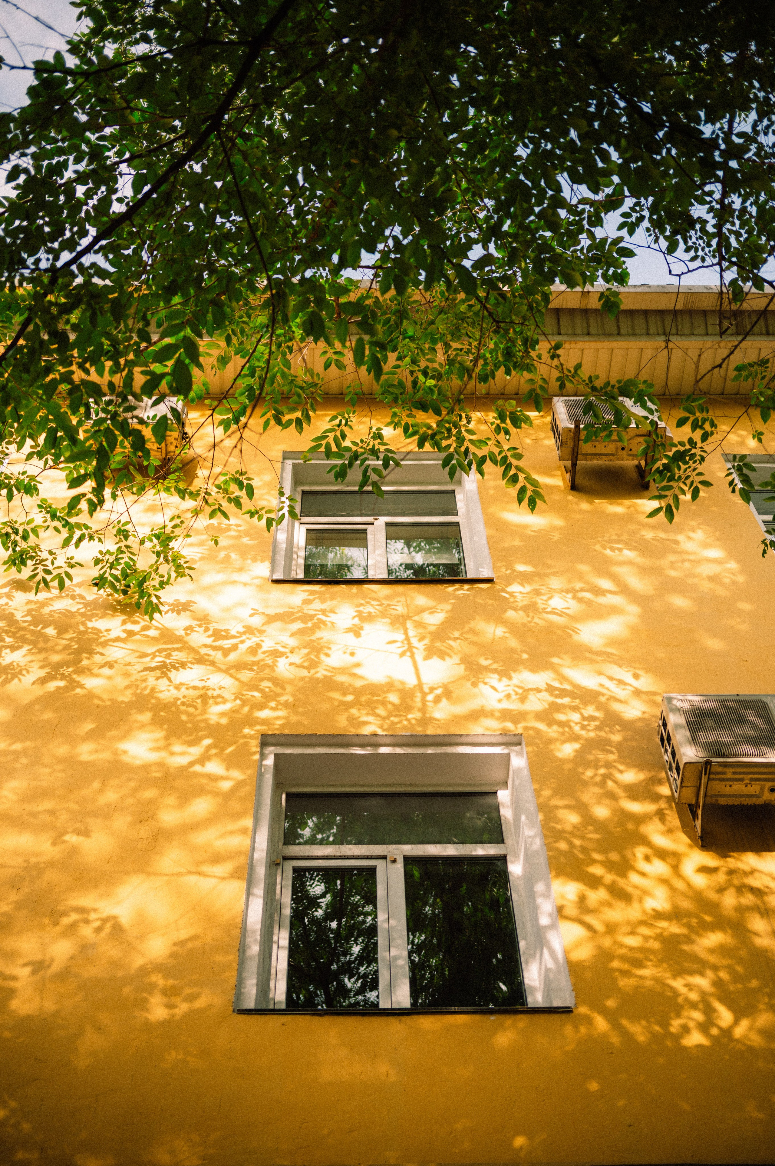 Стрит: Алматы, лето 2025. Фотограф в Алматы — Дарья Фёдорова