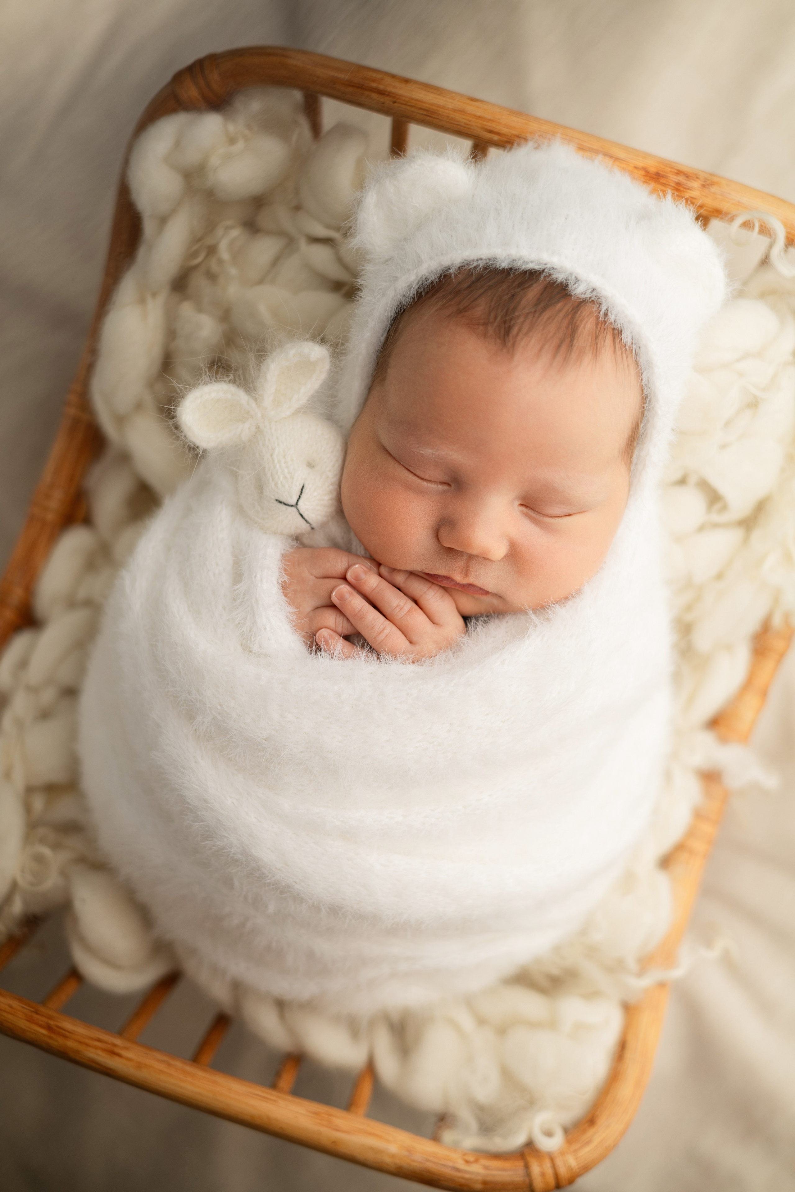 Лев. Лилия Алтухова — фотограф новорожденных в Москве и области