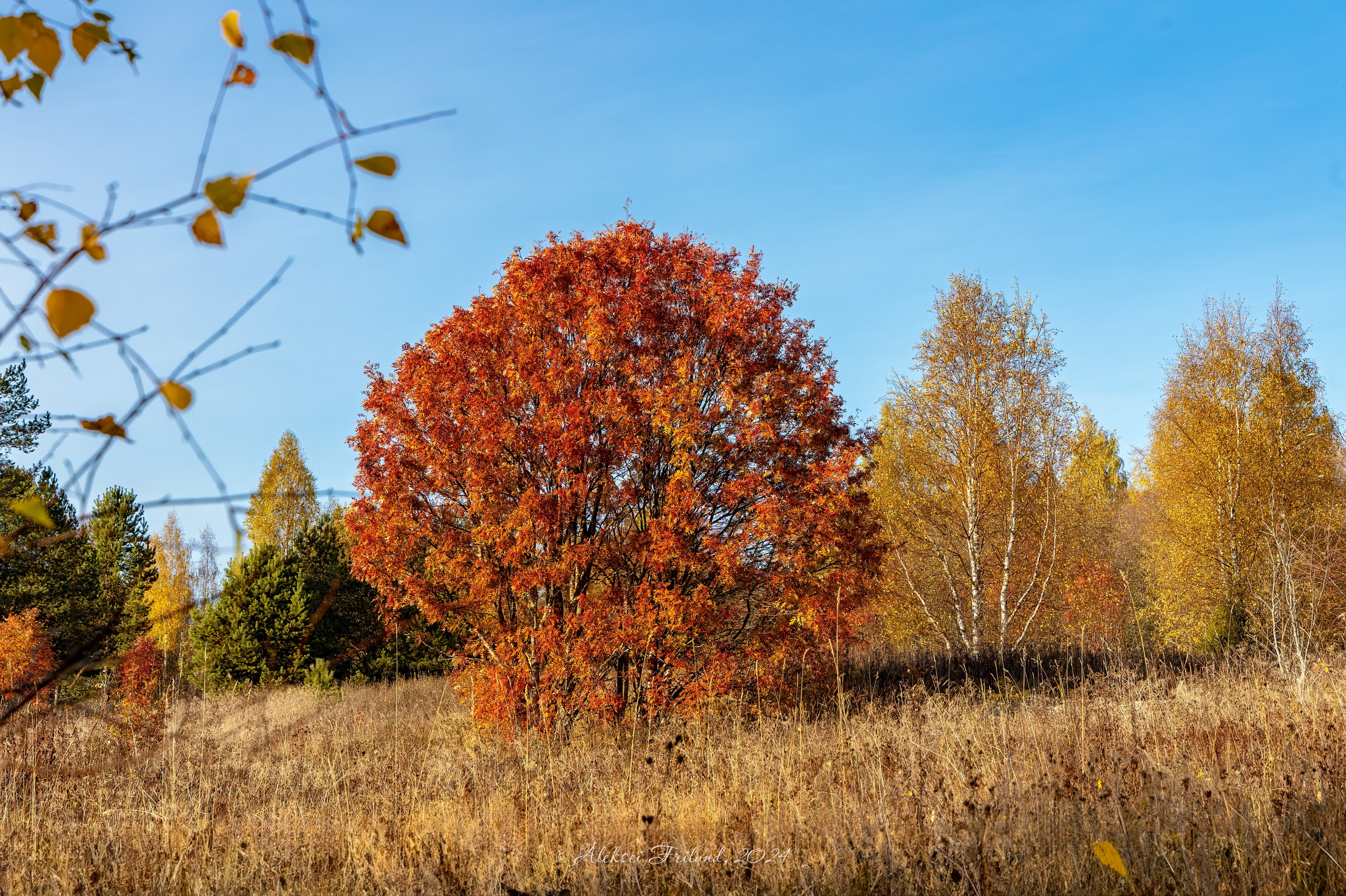 Природа Карелии. Аэросъемка. Фото и Видео в Карелии. Алексей Фрилунд