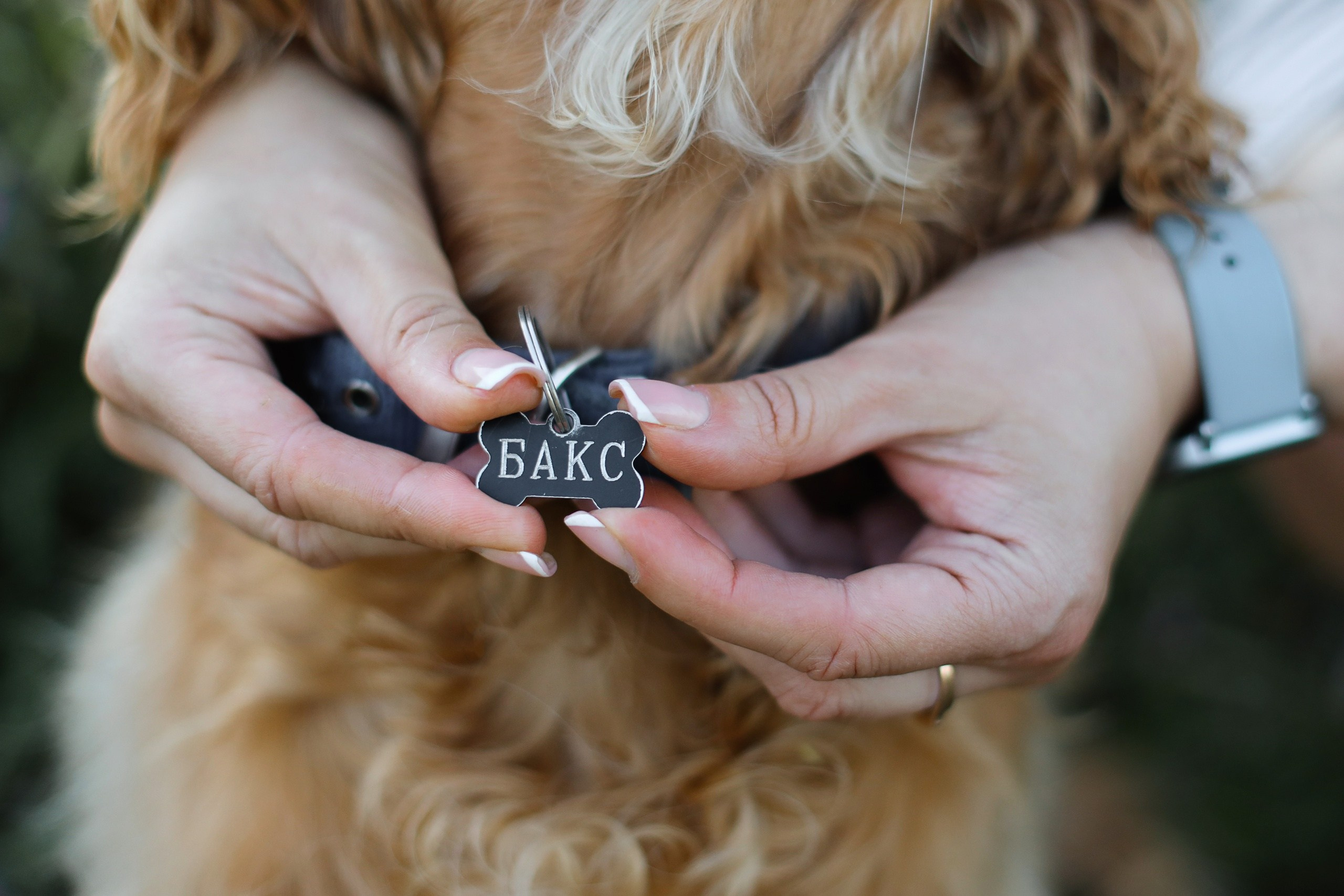 Четвероногие друзья. Репортажный, семейный, школьный фотограф в Иванове Инна Крылова