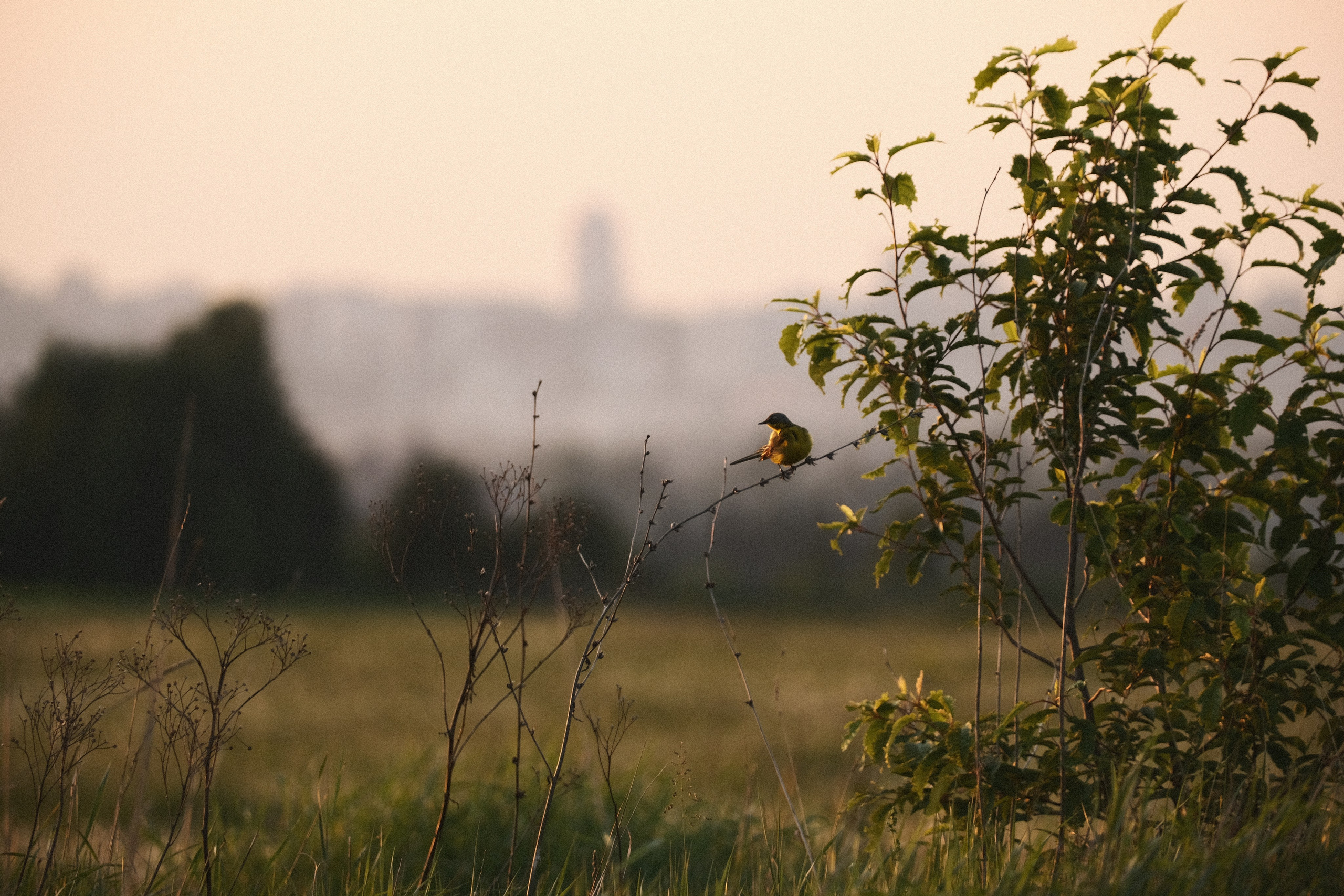 Пейзажи. Фотограф-любитель из Кирова Андрей Погребняк