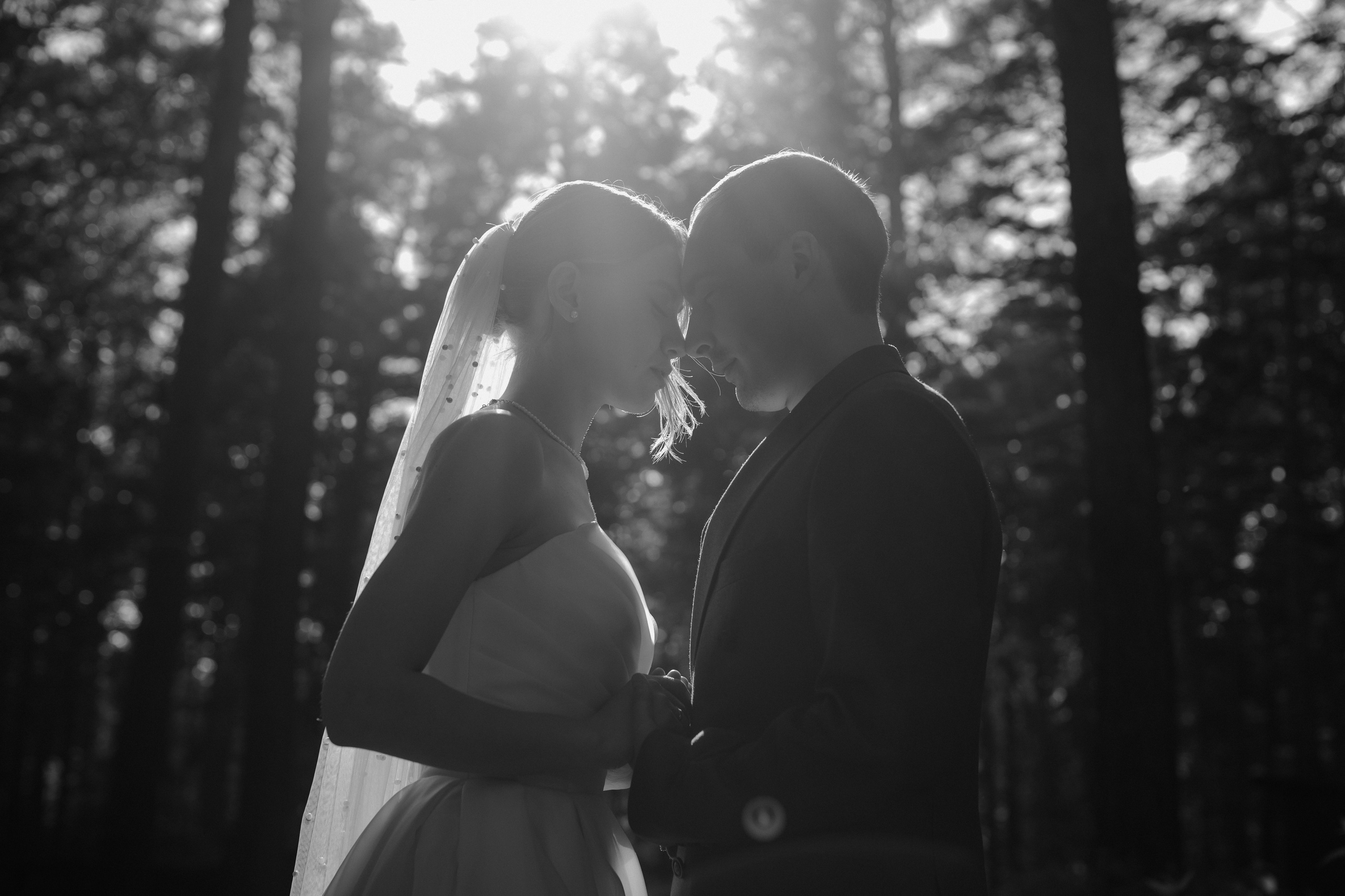 Екатерина и Никита. Свадьба в Шатре. Фотограф Аля Овчарова