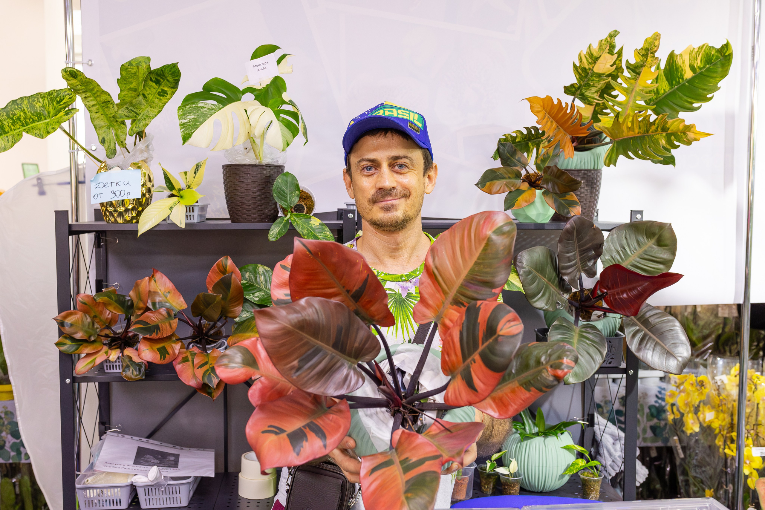 Орхидиум сентябрь 2025. Александра Куликова фотограф, Москва