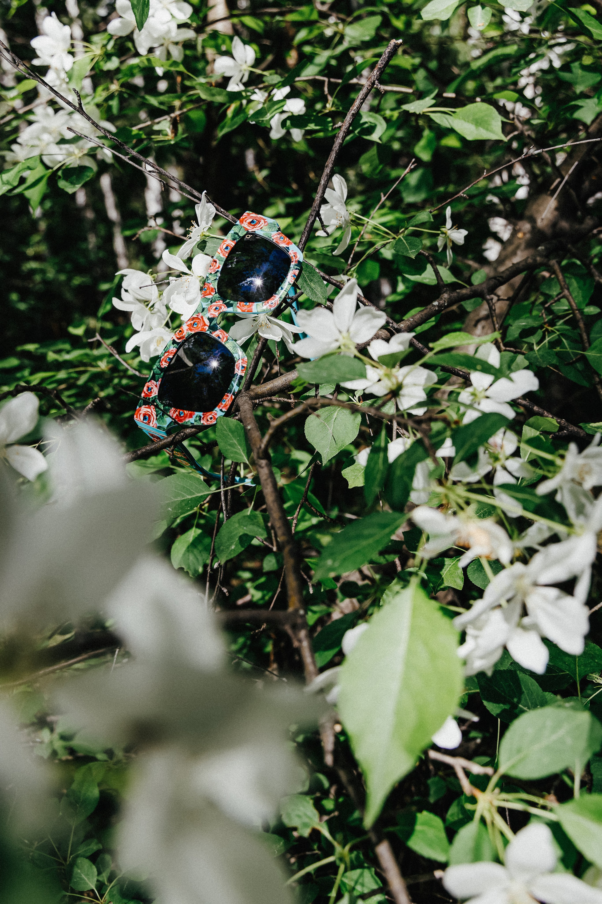 OC summer. Фотограф Иван Гуляев