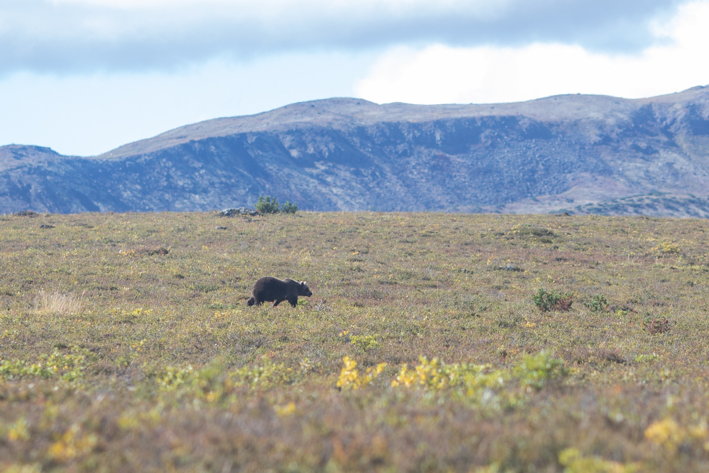 Камчатка. Тревел-фотограф Олег Гуров