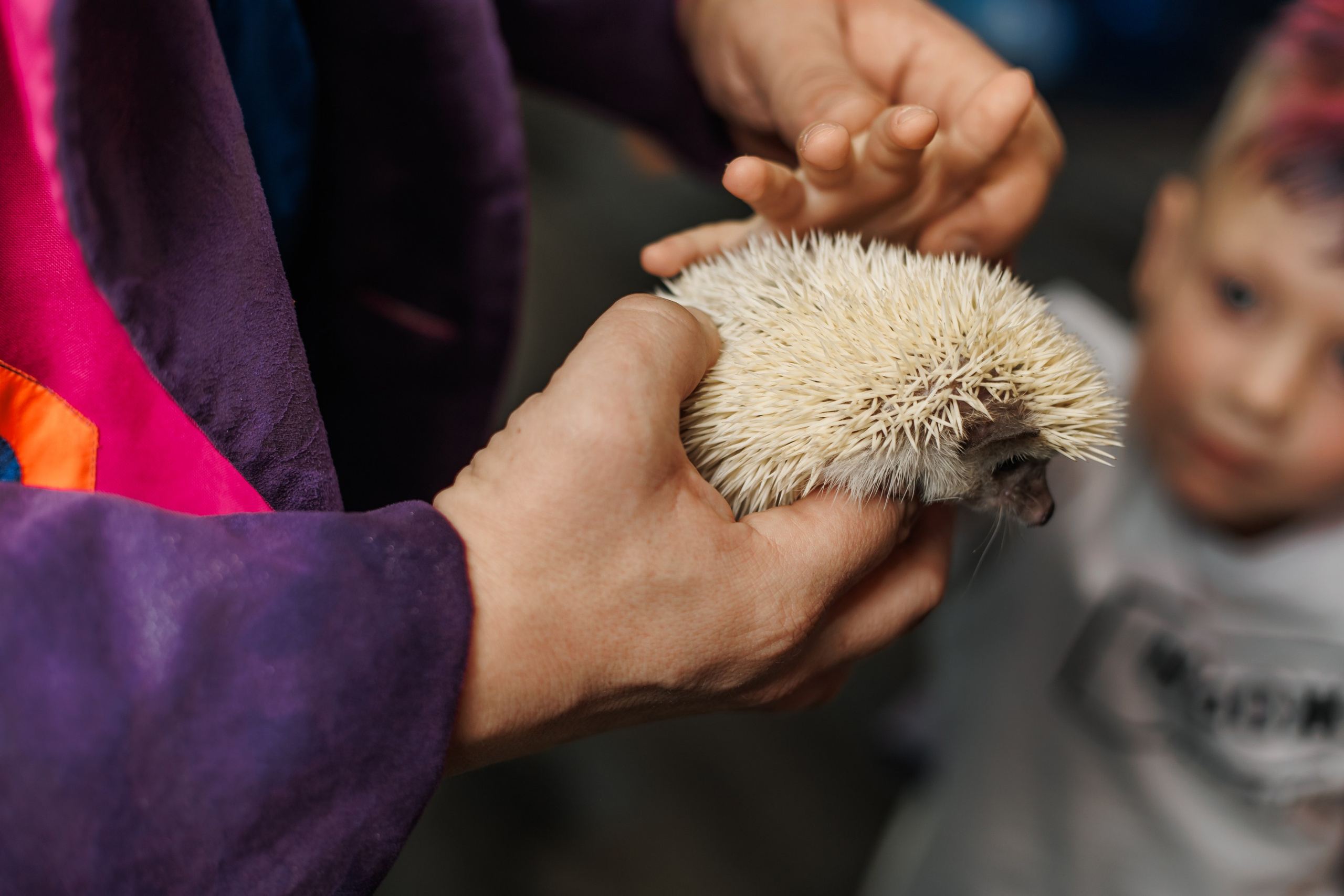 Детский День Рождения. Репортажный фотограф. Москва. Алина Ланская