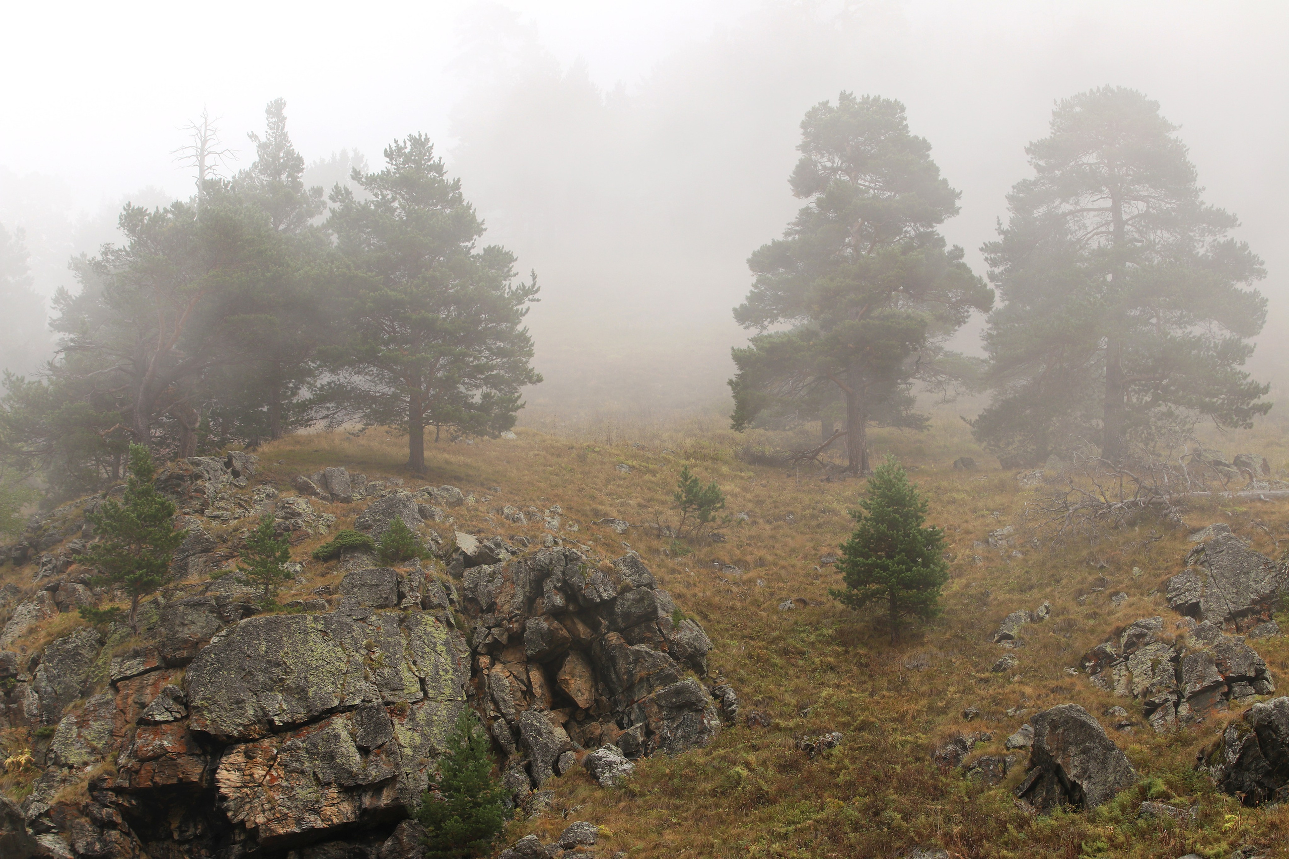 Приэльбрусье. Сентябрь 2024. Путешественник-фотограф из Санкт-Петербурга Татьяна Свистулина