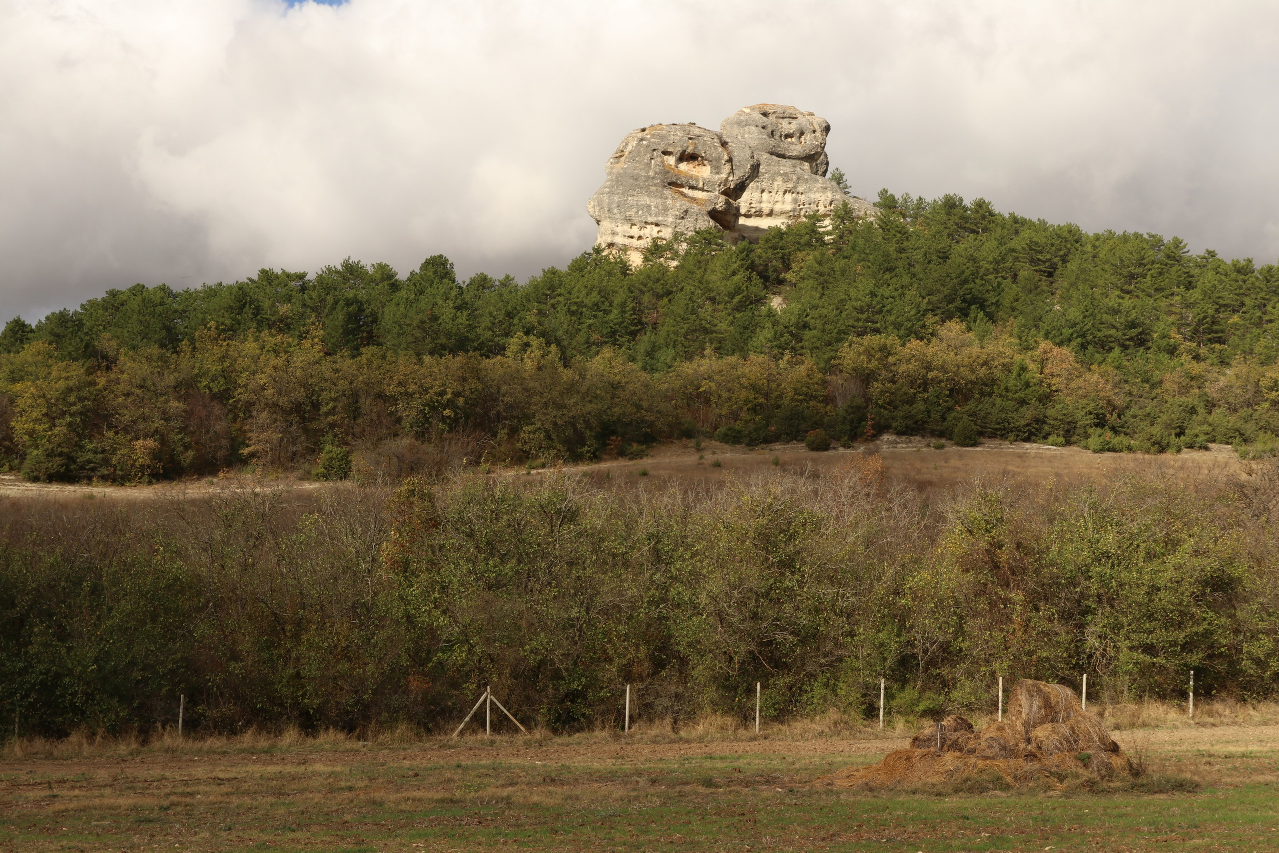 Крым. ЮБК (Гурзуф, Судак и их окрестности). Ноябрь 2023. Путешественник-фотограф из Санкт-Петербурга Татьяна Свистулина