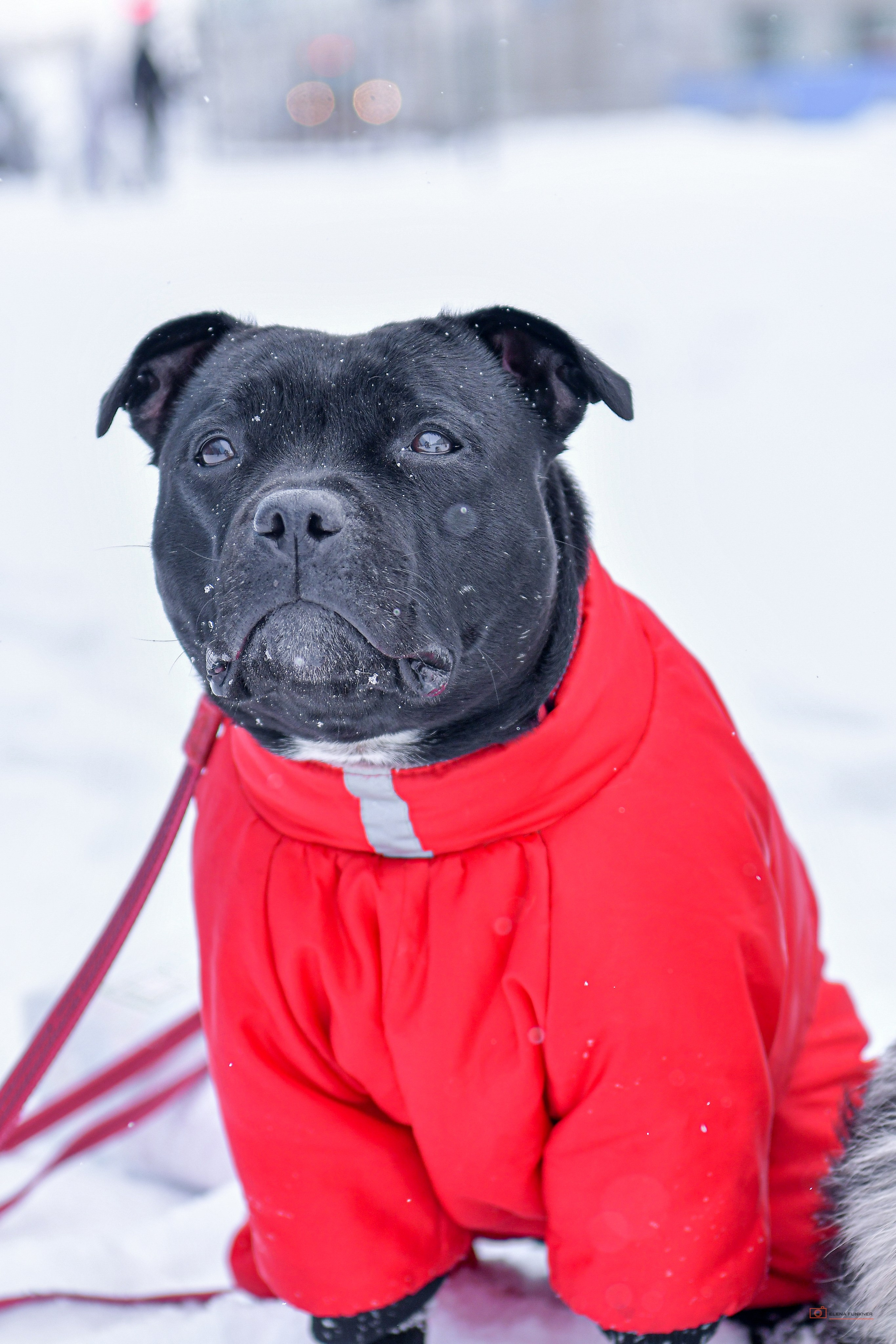 Зима. Свой взгляд через объектив