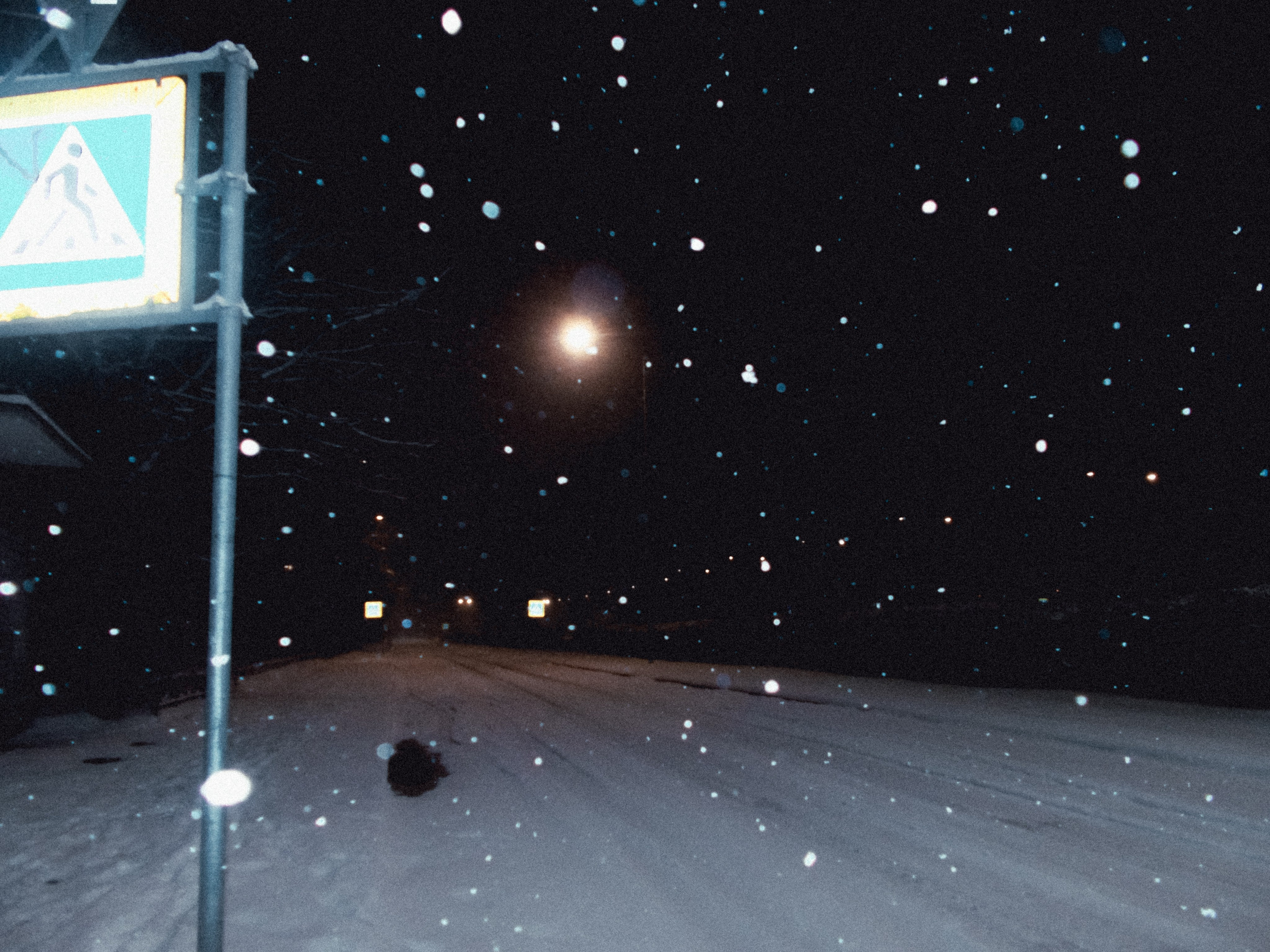 Nikon coolpix l26. Анна Мильч