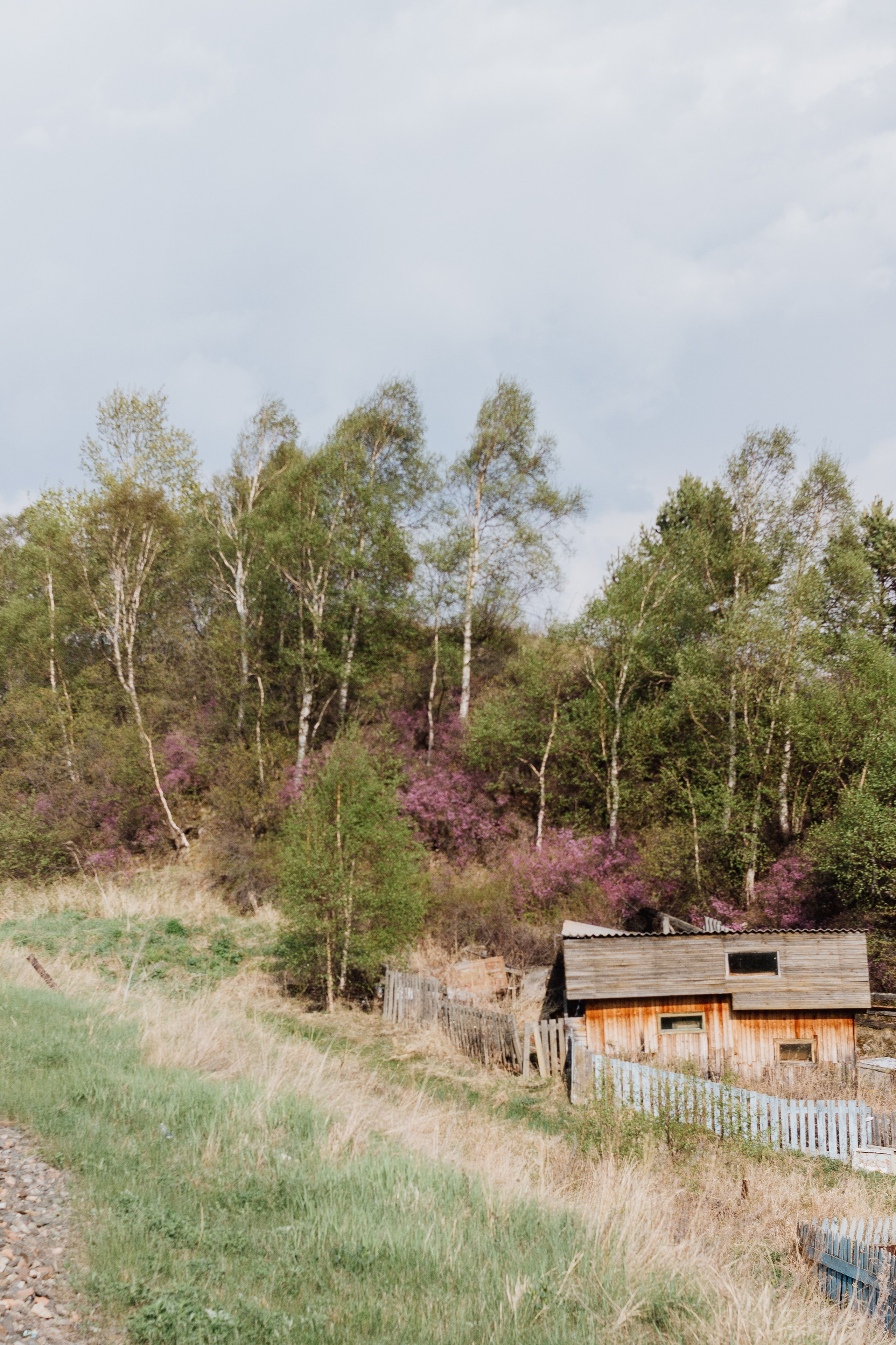 Ретрит на Байкале / Школа Ведических знаний SoVA / 7 дней, 2023. Борщевская Елизавета / фотограф Иркутск