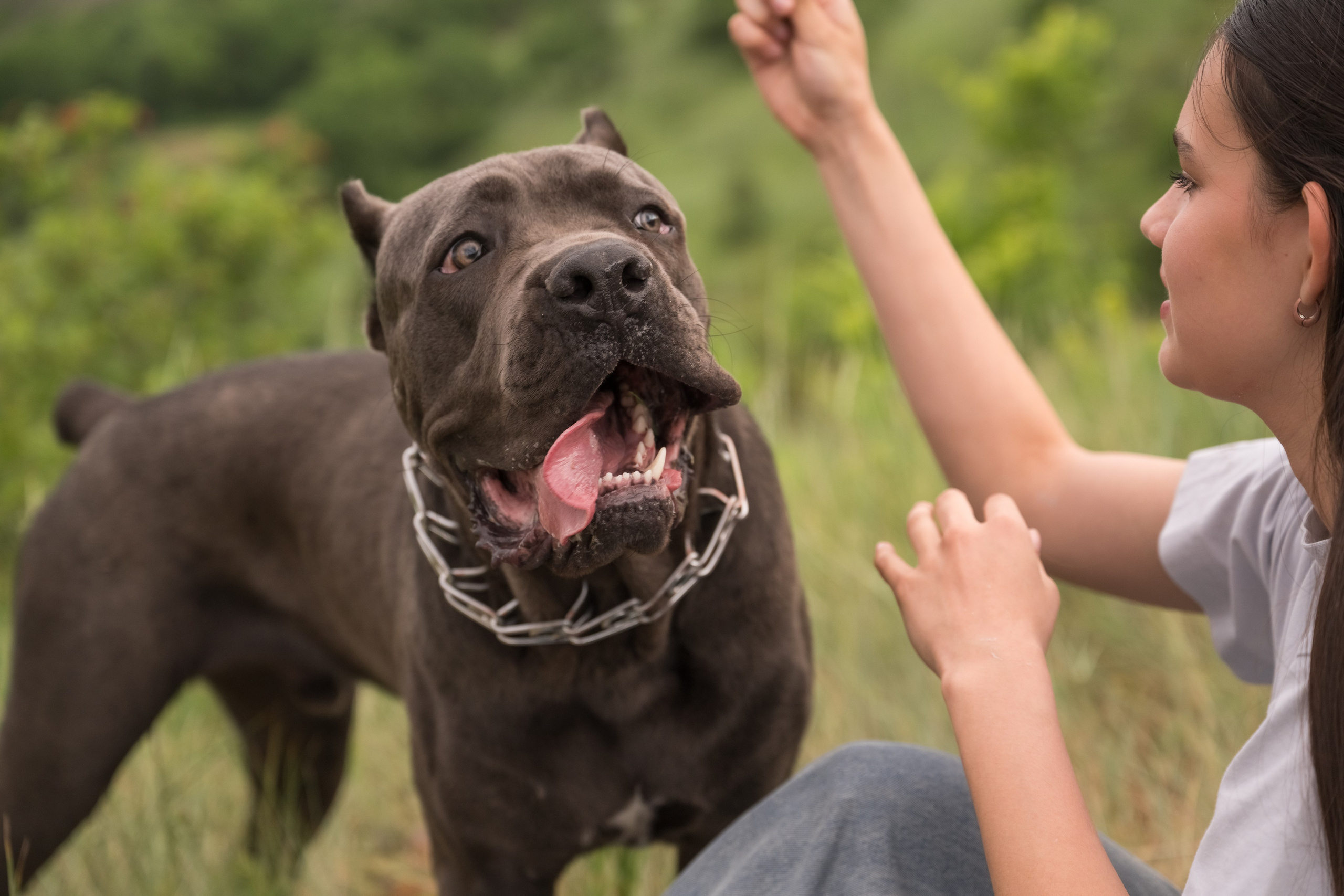 Дина, Яна и Лео. Фотограф Саратов Юлия Петрова