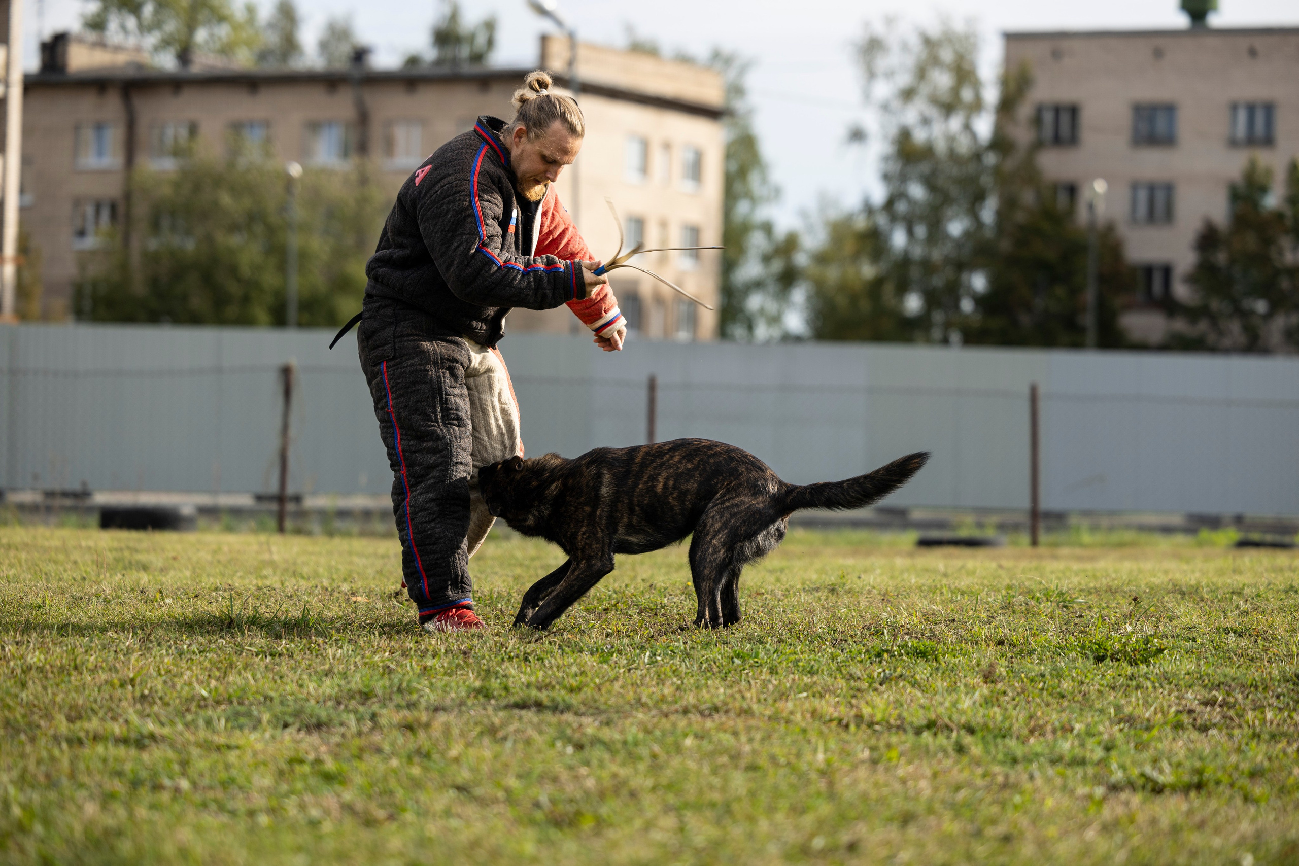 Испытания по Мондьорингу г. Пушкин. Фотограф-анималист Анна Маринич