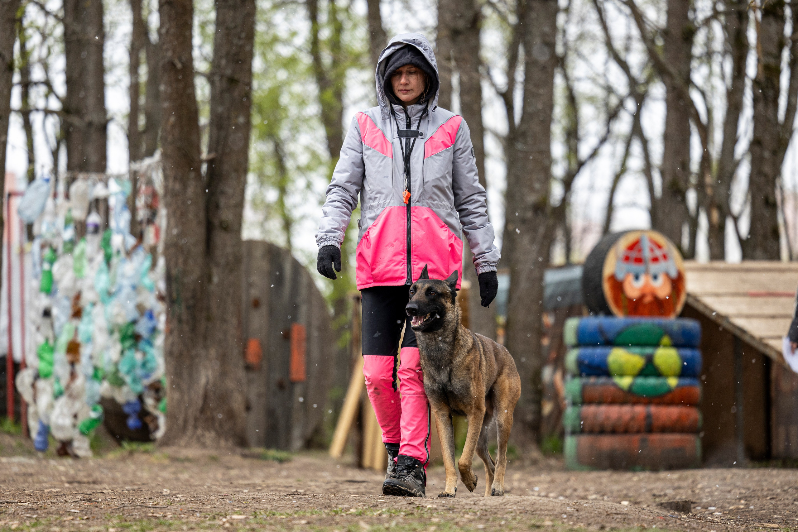 Квалификационные состязания по мондьорингу г. Вологда 11.05.24. Фотограф-анималист Анна Маринич