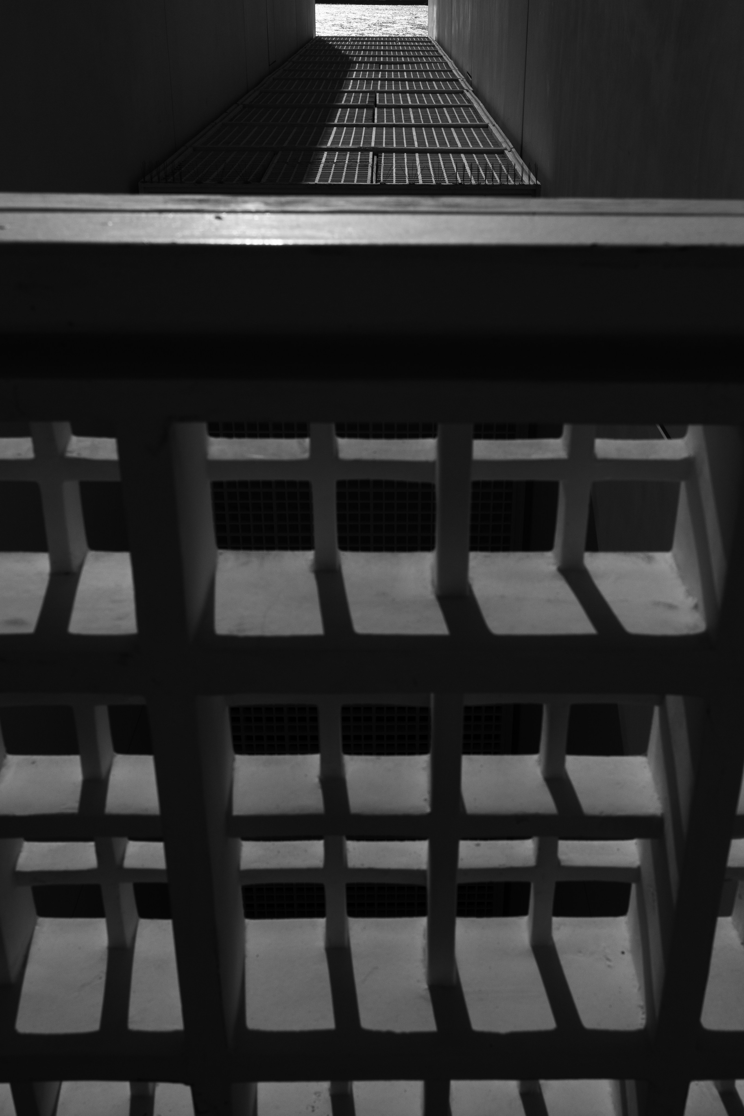 Дубай 2023. Руслан Плахтеев