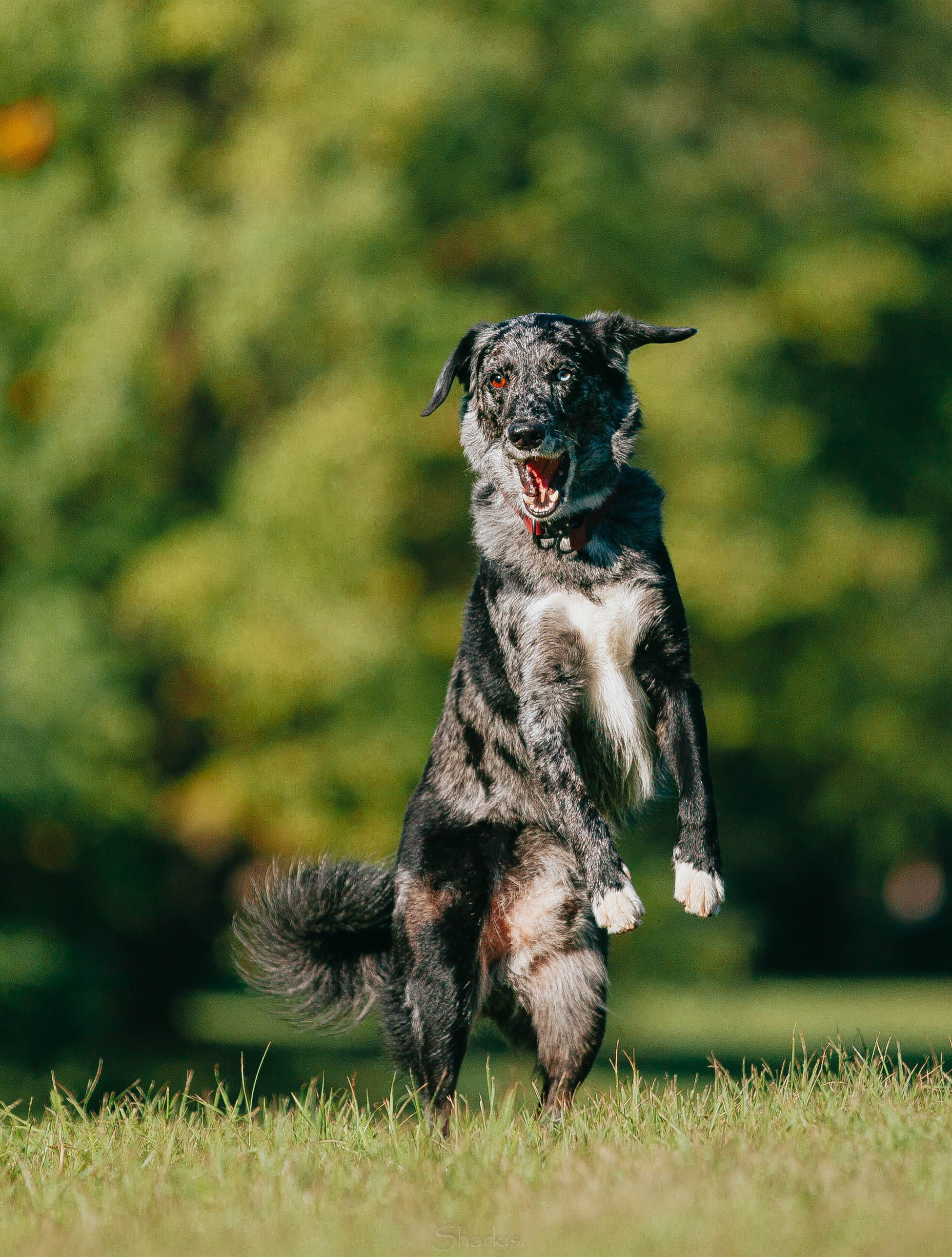 Вега и Гриша. Главная