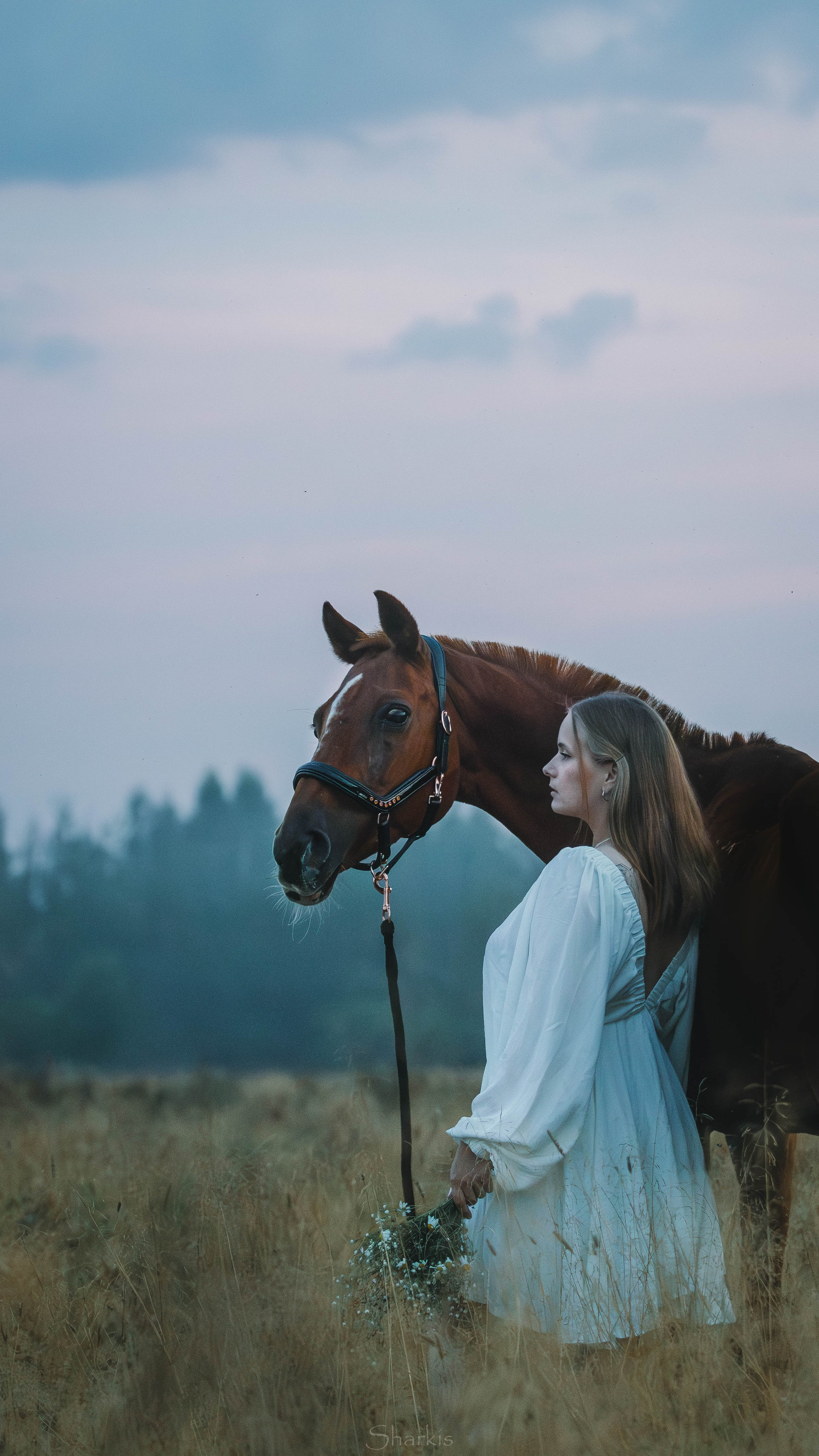 Аня и Гас. Главная