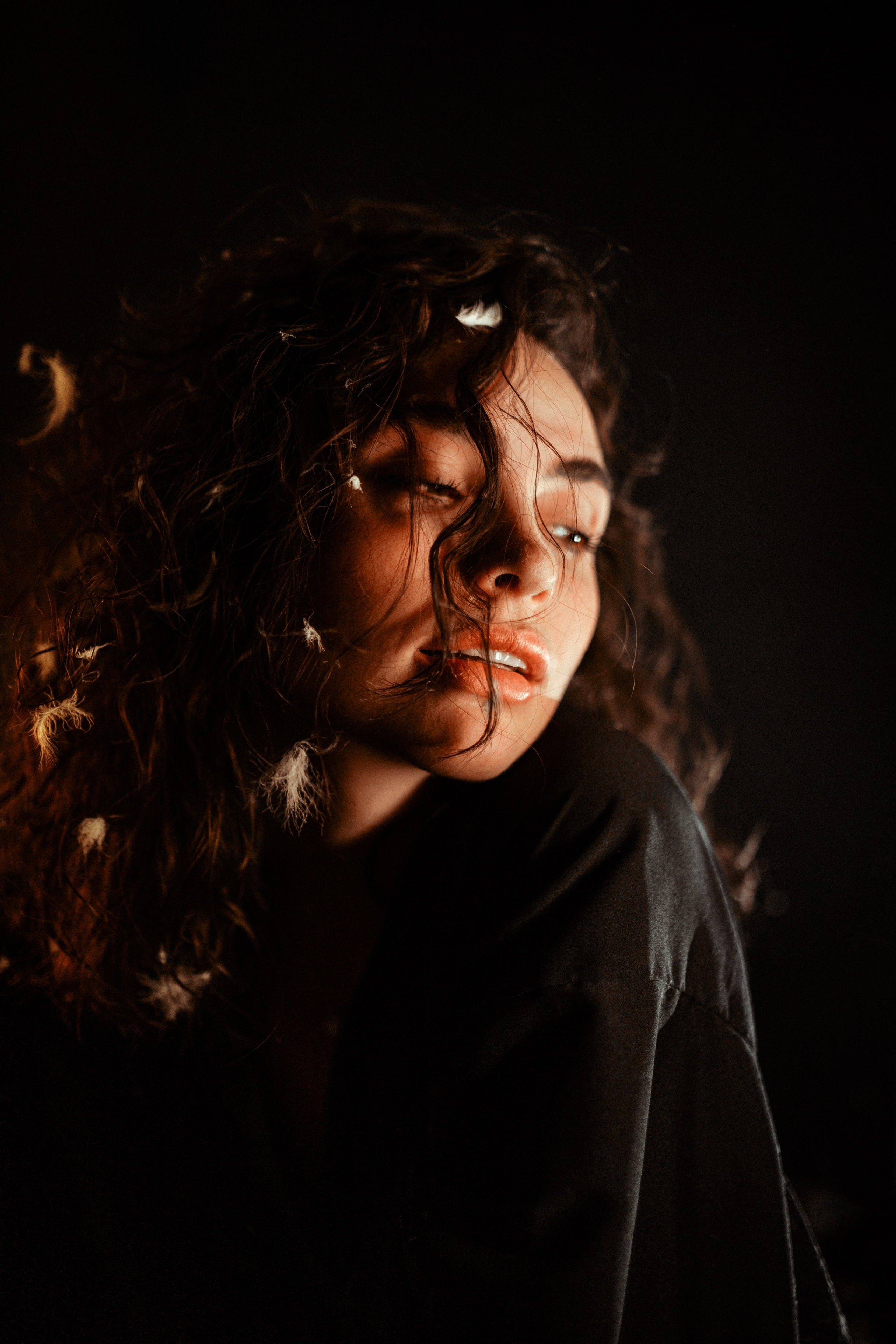 Авторский проект — Перья. Александр Атлес Фотограф