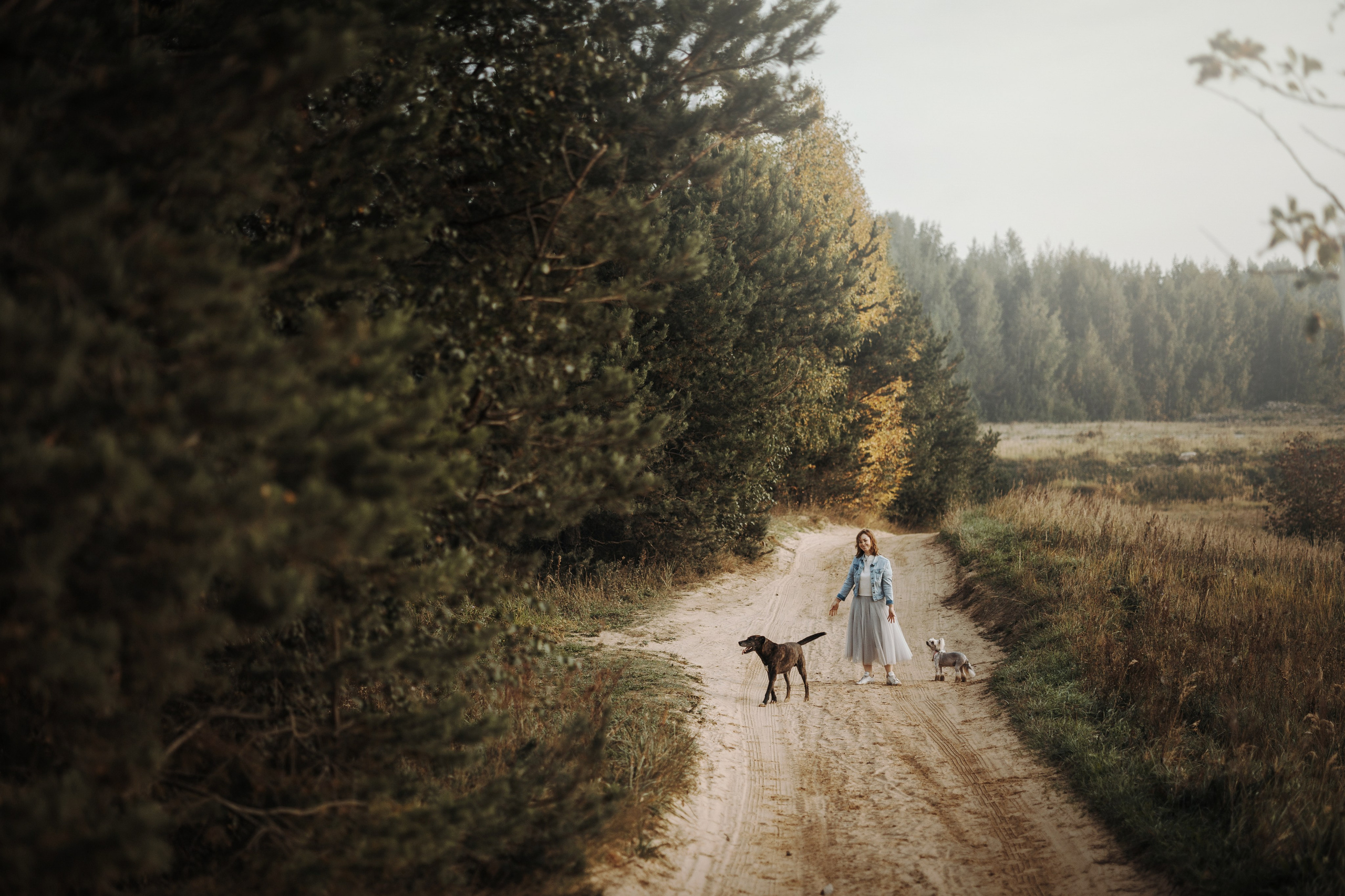 Любовь и ее хвостики. Фотограф — Анималист | Санкт-Петербург