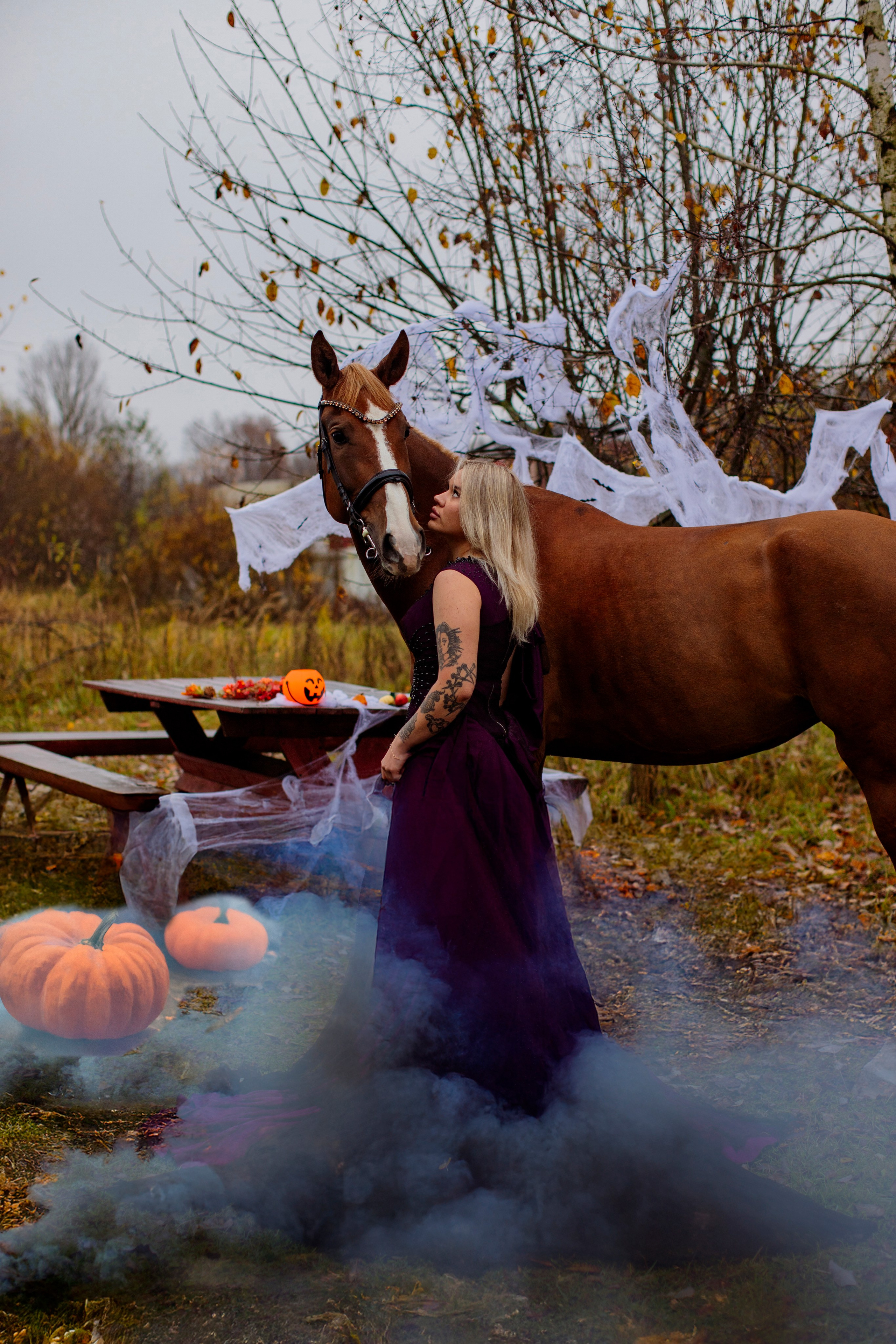 С лошадьми. Фотограф в Москве и в Московской области Сандра