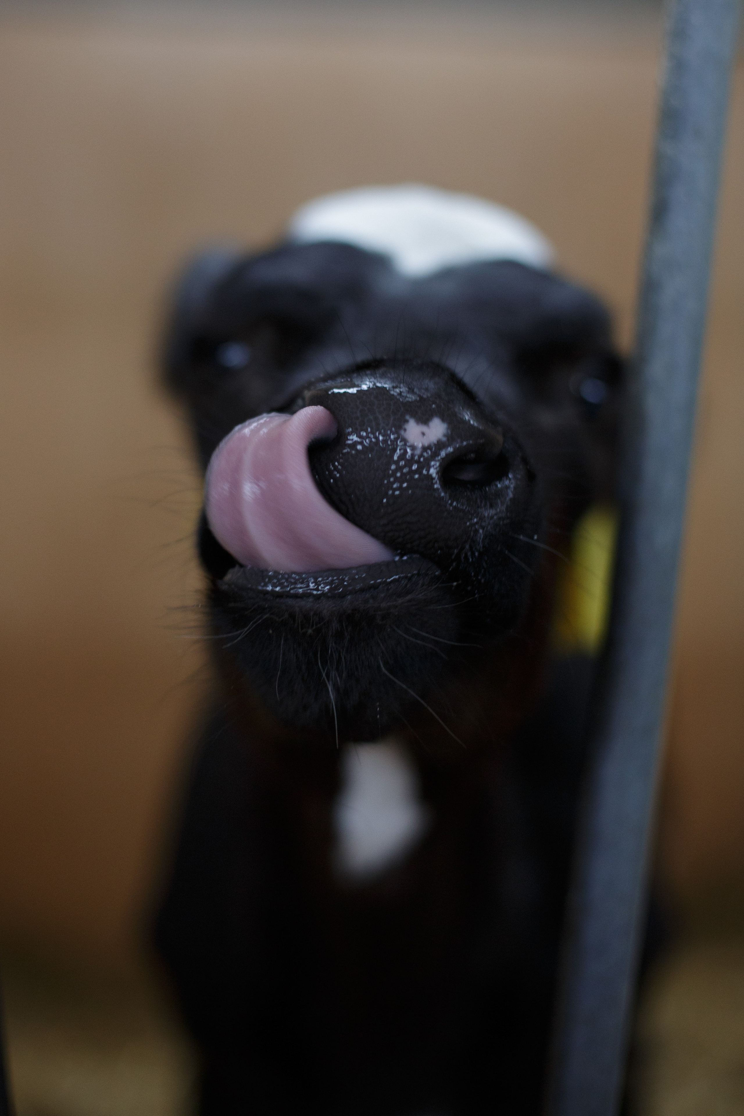 Промышленная фотография. Artur Photography