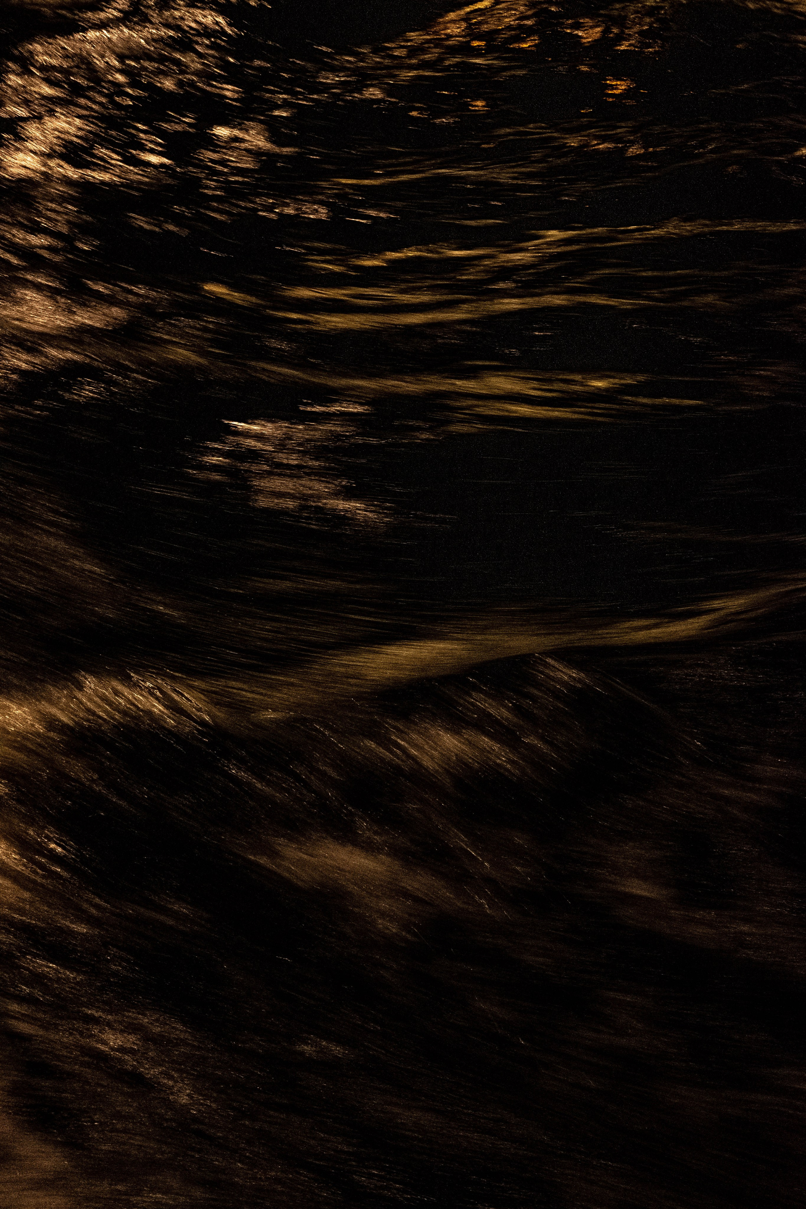 Питер 2024. Свадебный и семейный фотограф в Новосибирске, Санкт-Петербурге, Москве