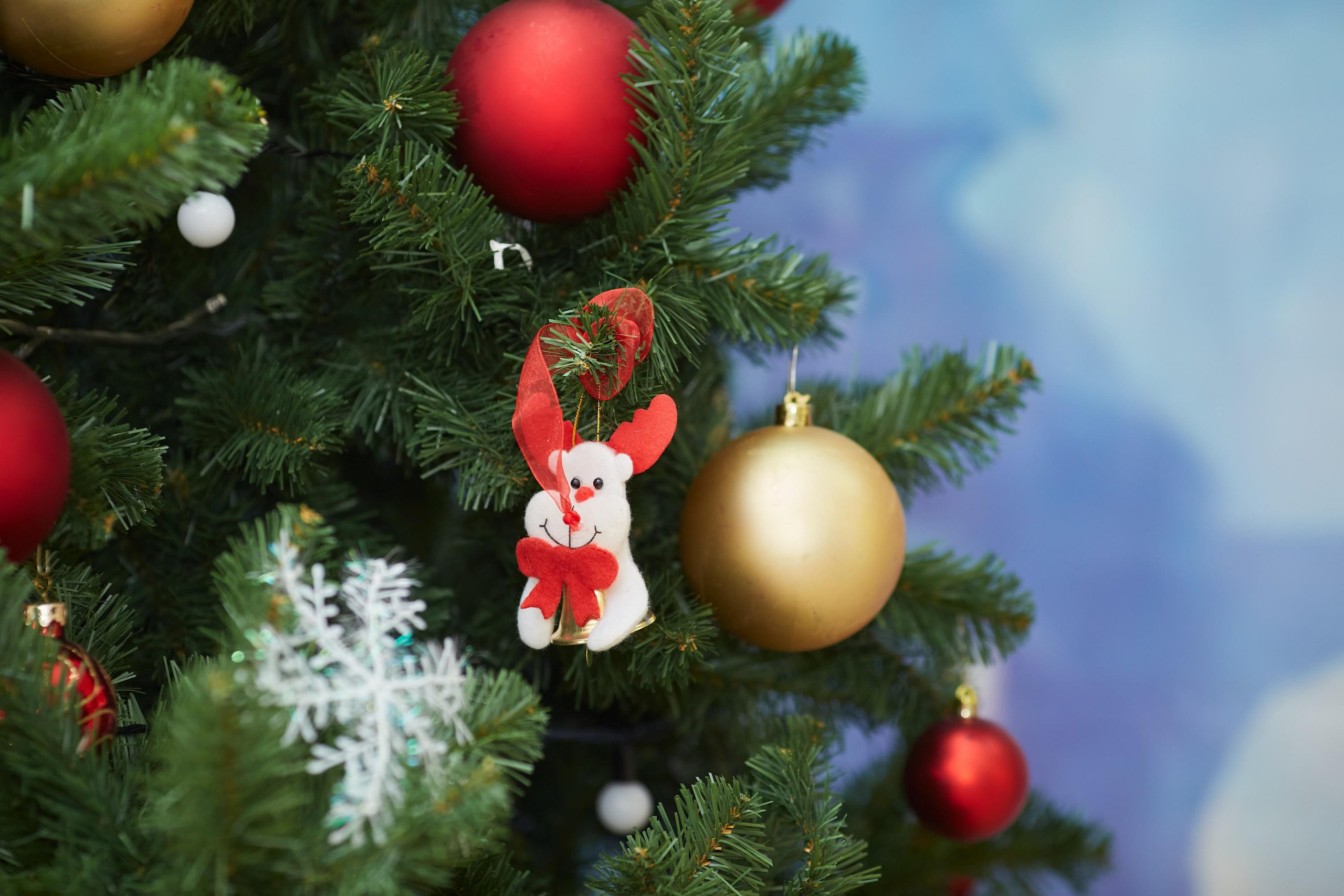 Утренник «Интеграл». Александр Осин — корпоративный и семейный фотограф в Москве