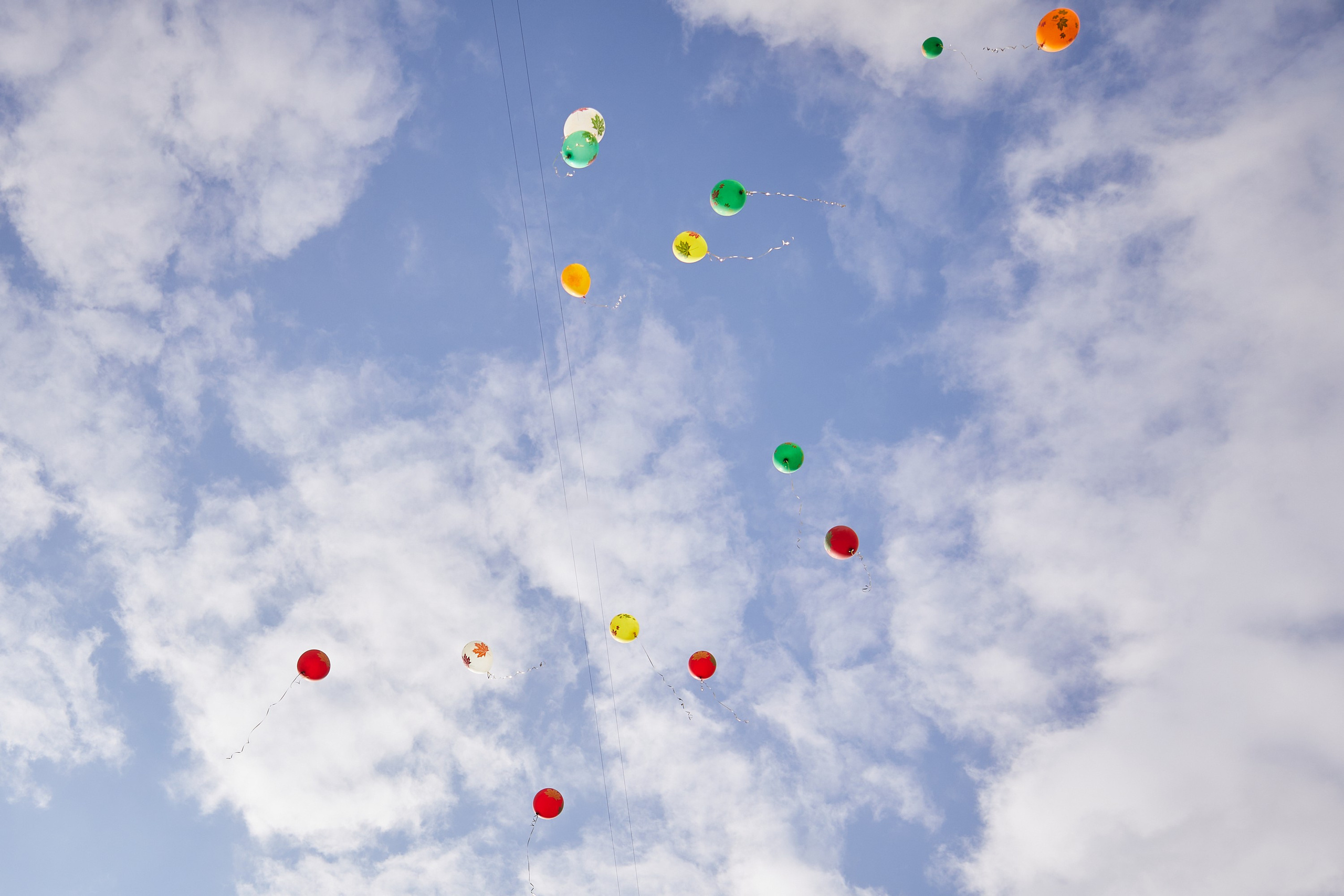 1 сентября во Французской школе. Александр Осин — корпоративный и семейный фотограф в Москве