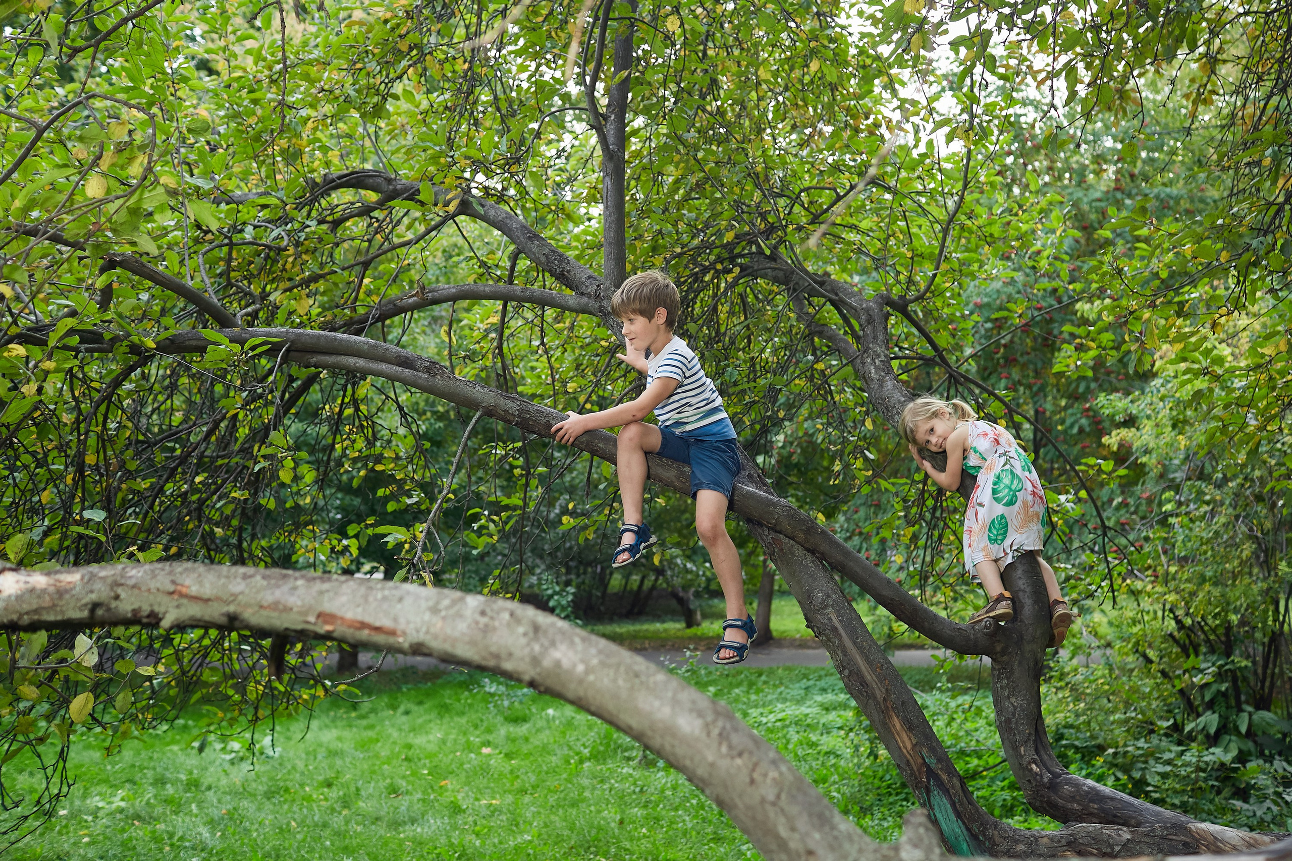 Аня-Миша. Александр Осин — корпоративный и семейный фотограф в Москве