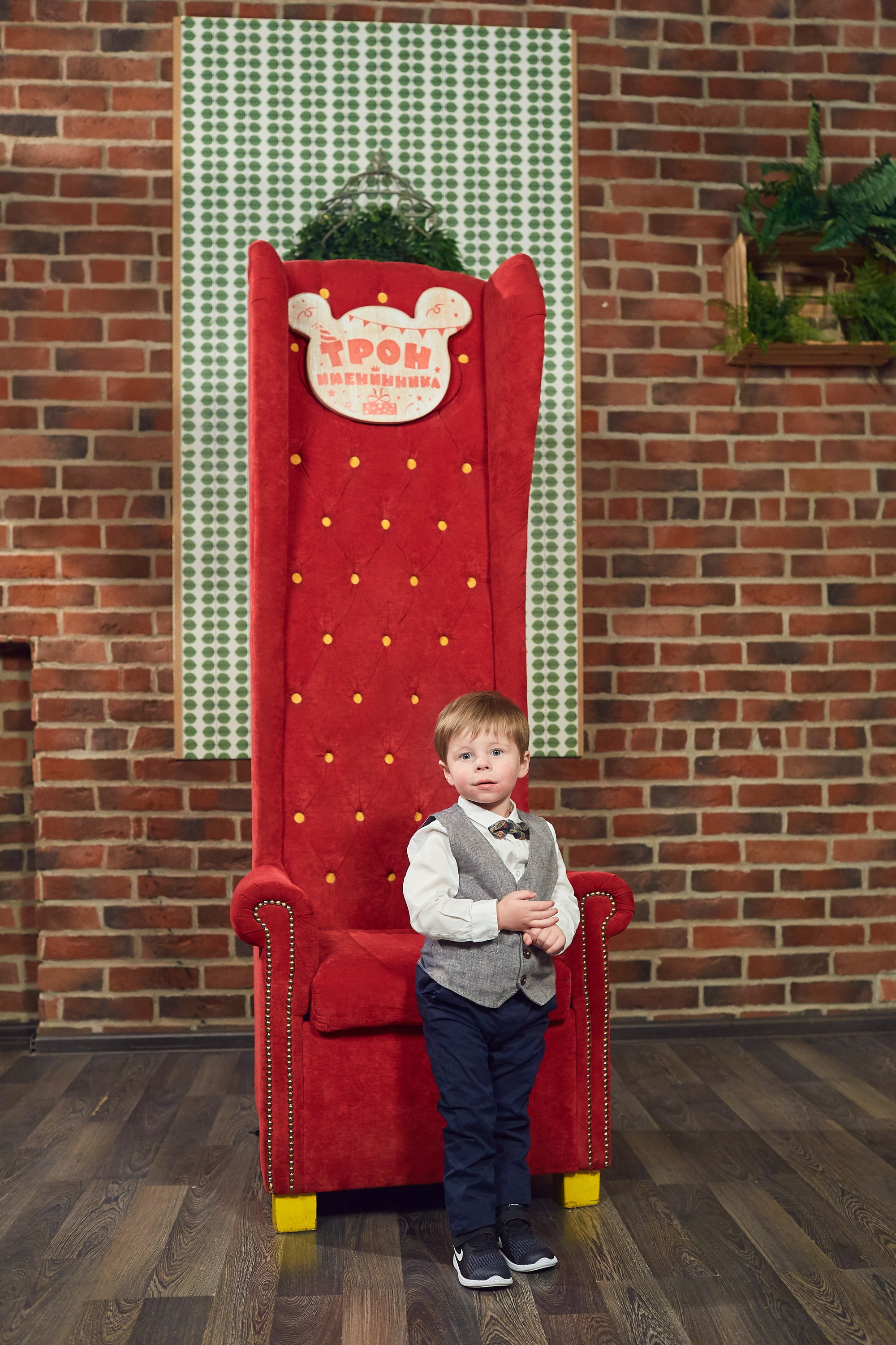 Лев 2 года Андерсон. Александр Осин — корпоративный и семейный фотограф в Москве