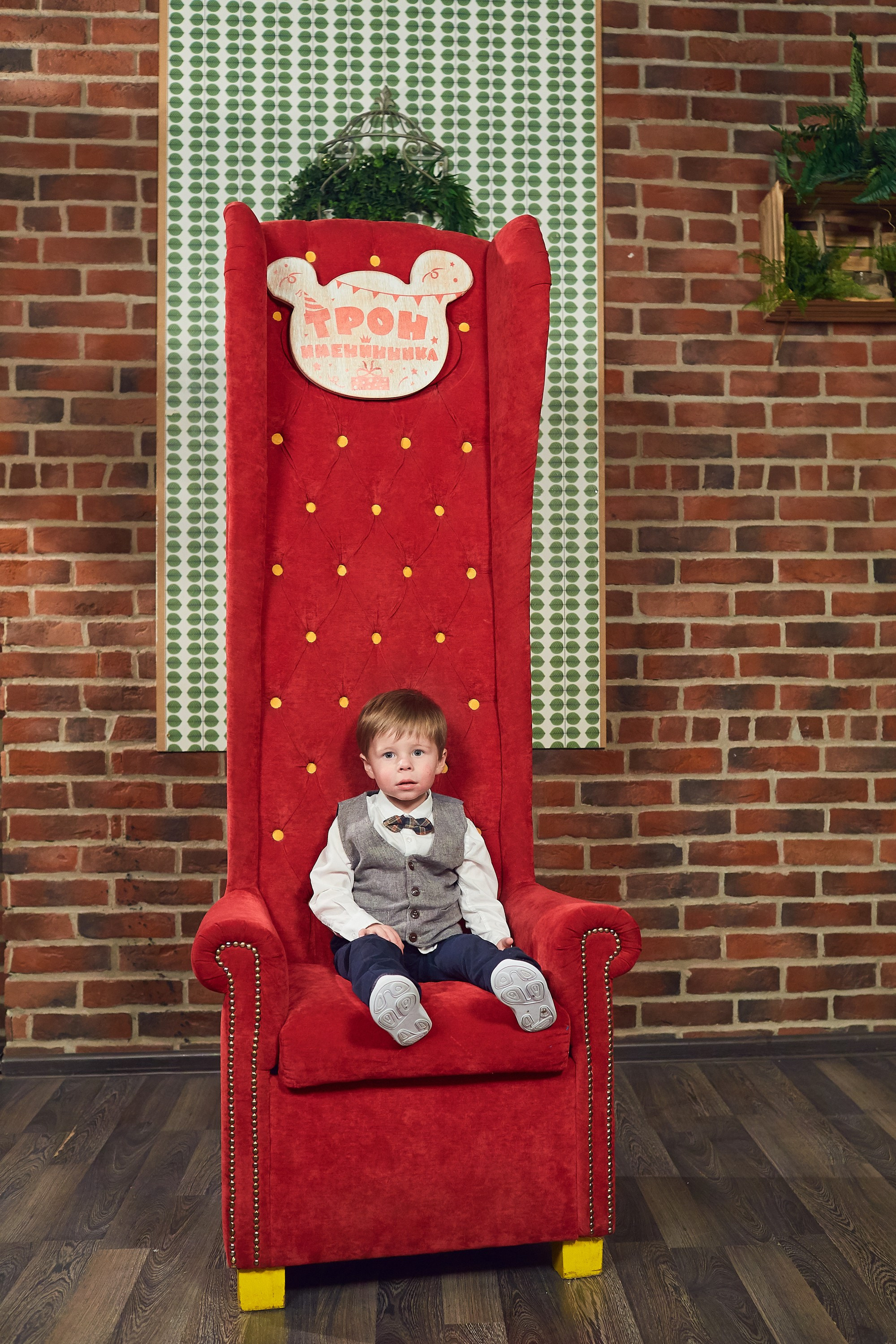 Лев 2 года Андерсон. Александр Осин — корпоративный и семейный фотограф в Москве