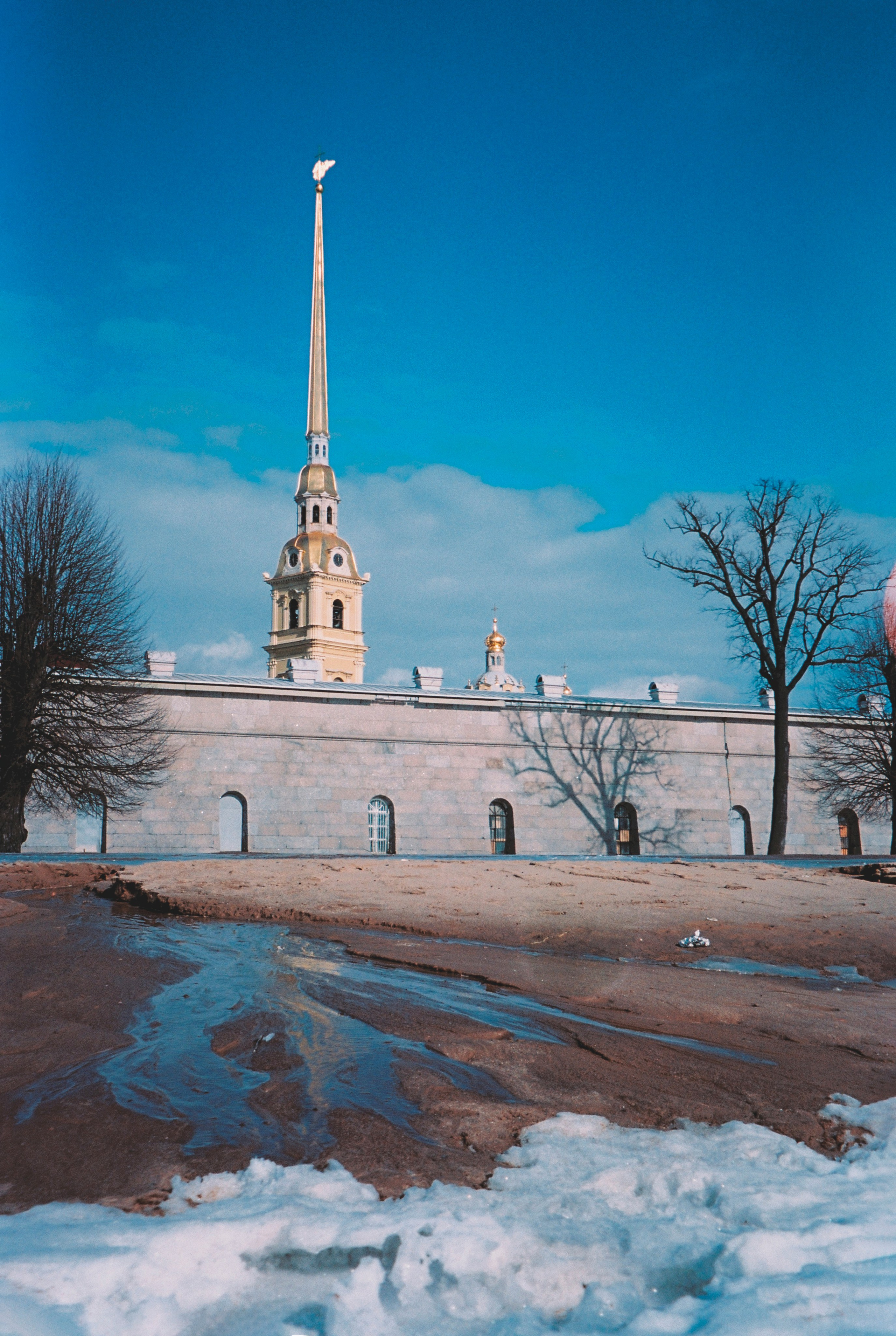 Фотографии цветные. Свадебный и семейный пленочный фотограф в Петербурге Истомина Ирина