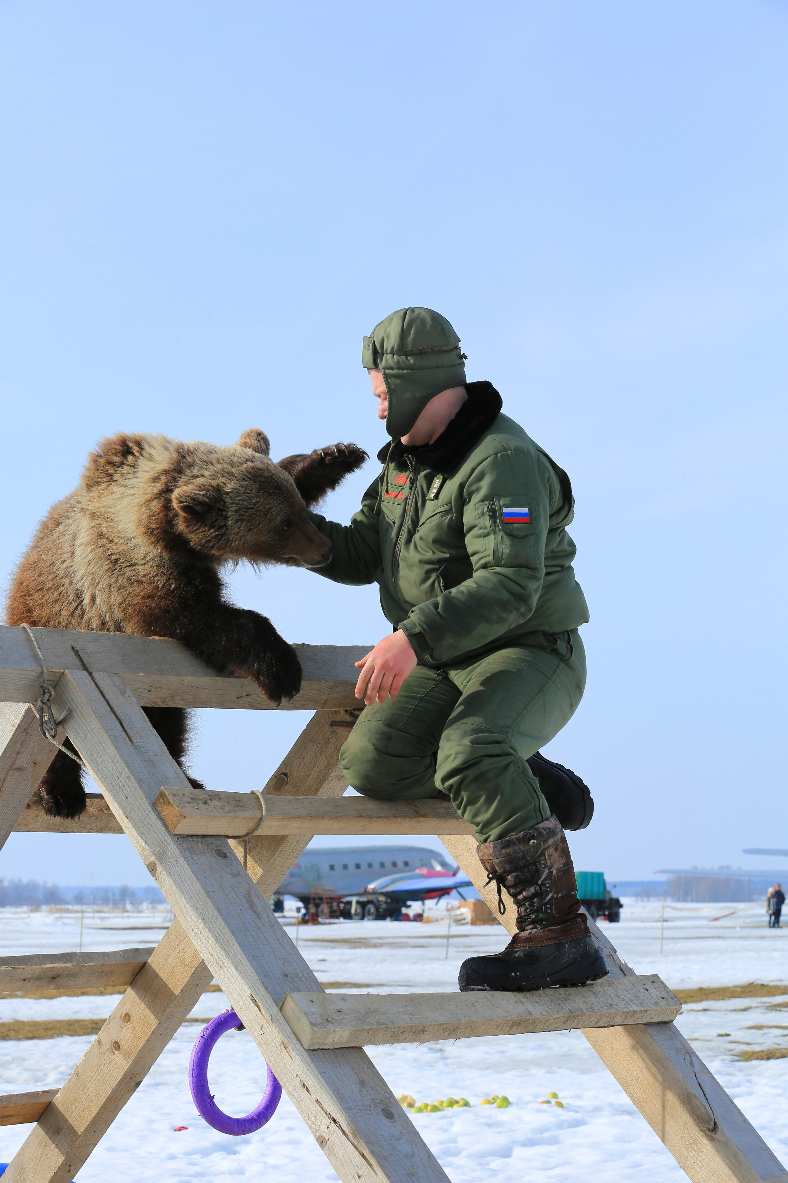 Медведь Мансур. Фотоальбом показывающий увлекательный мир авиации и мир медведей Андрея Иванова