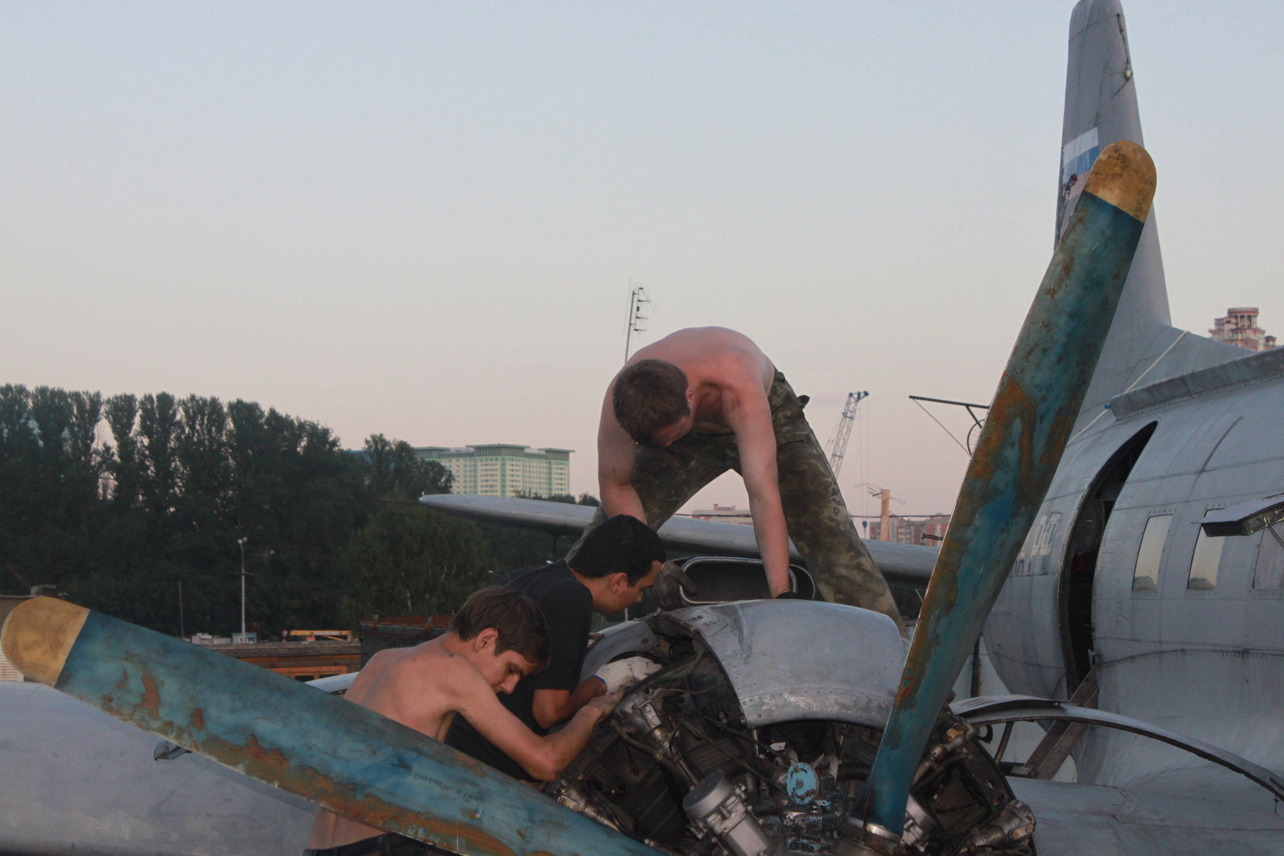 Ил-14Т «Голубая Мечта» работы в Тушино (2011 г.). Фотоальбом показывающий увлекательный мир авиации и мир медведей Андрея Иванова
