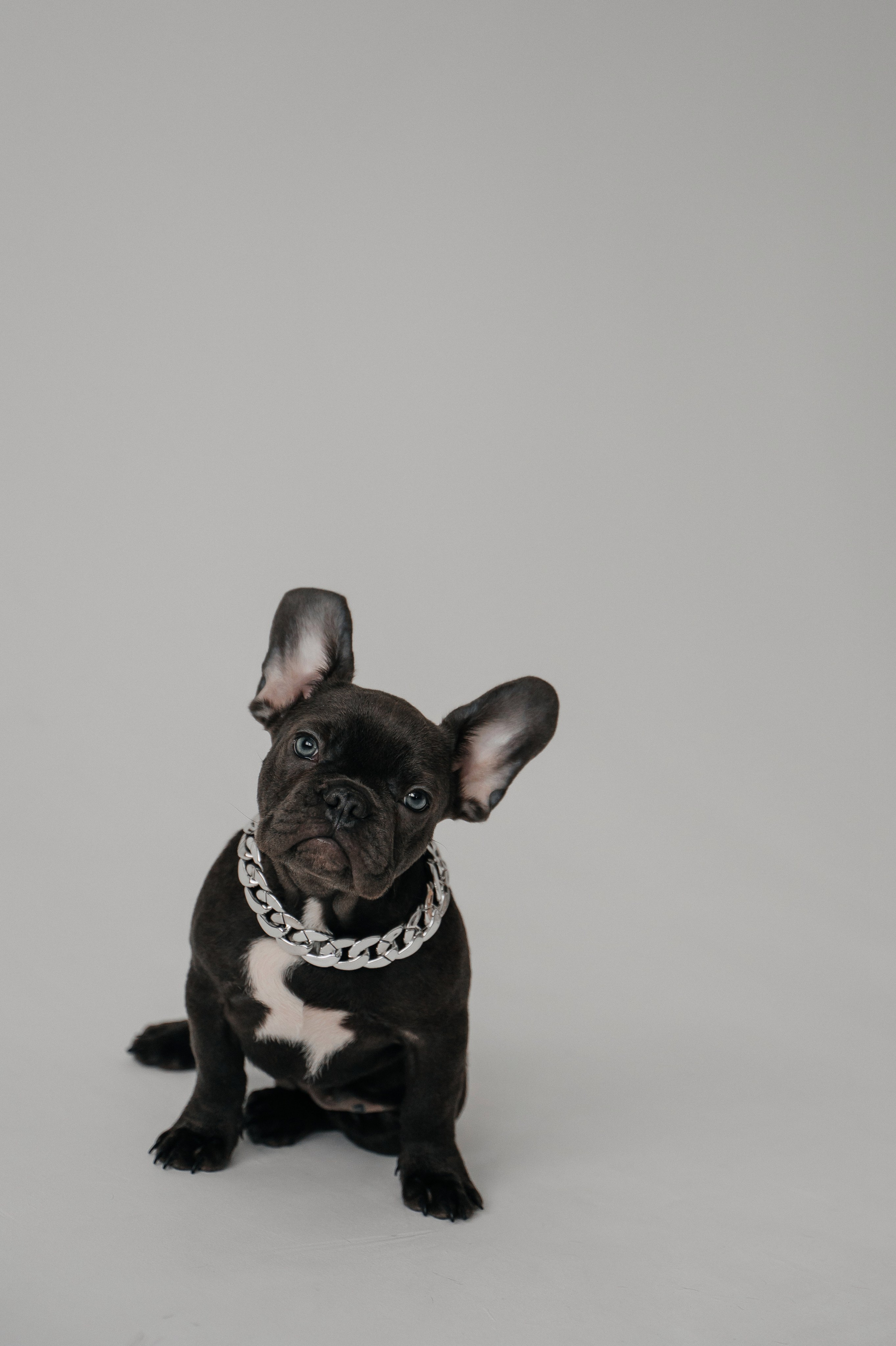 Юля и Гранд. Свадебный и семейный фотограф в городе Смоленске