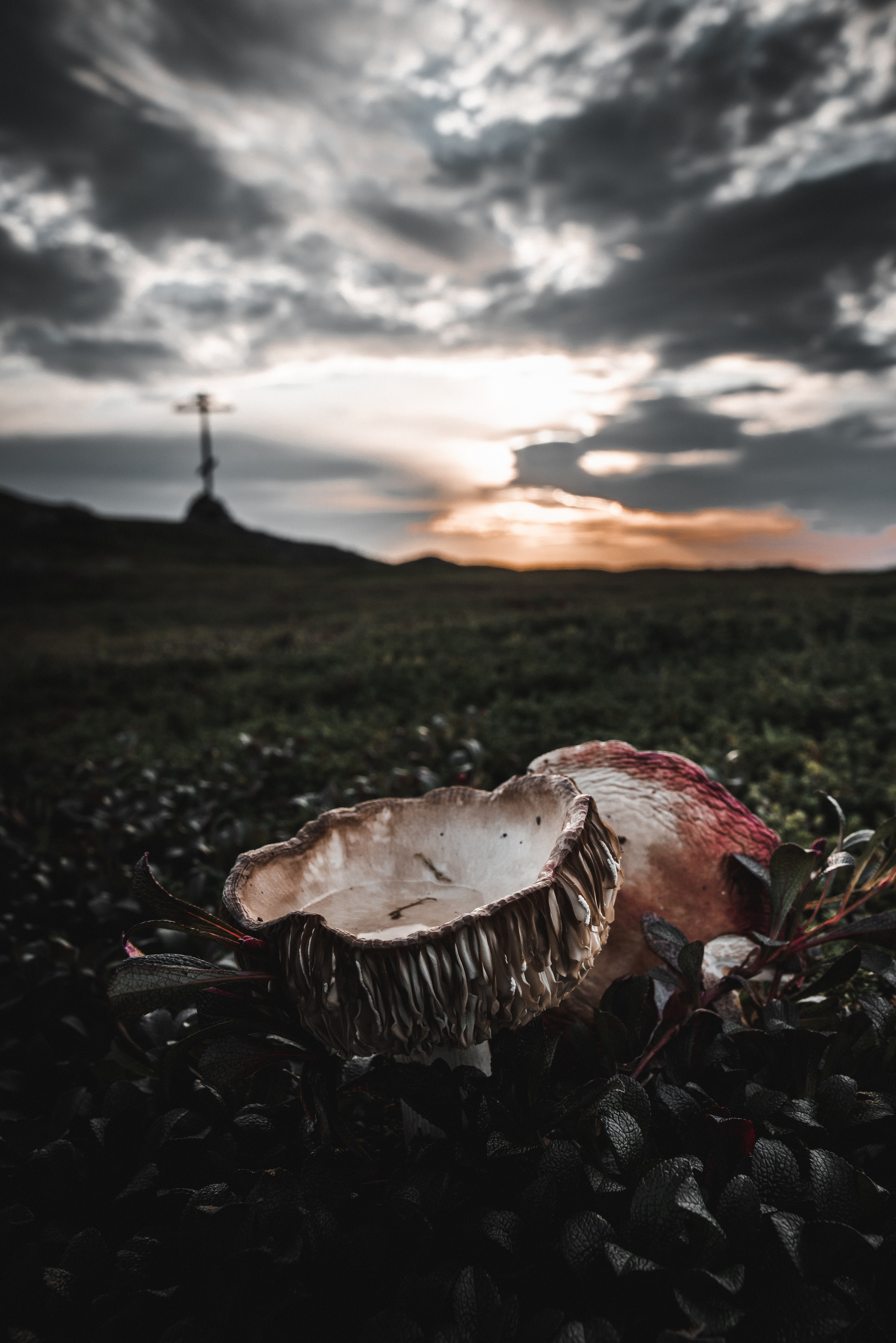 Путешествие на Север в 2020 году. Внедорожные путешествия — OFFROADTRIP