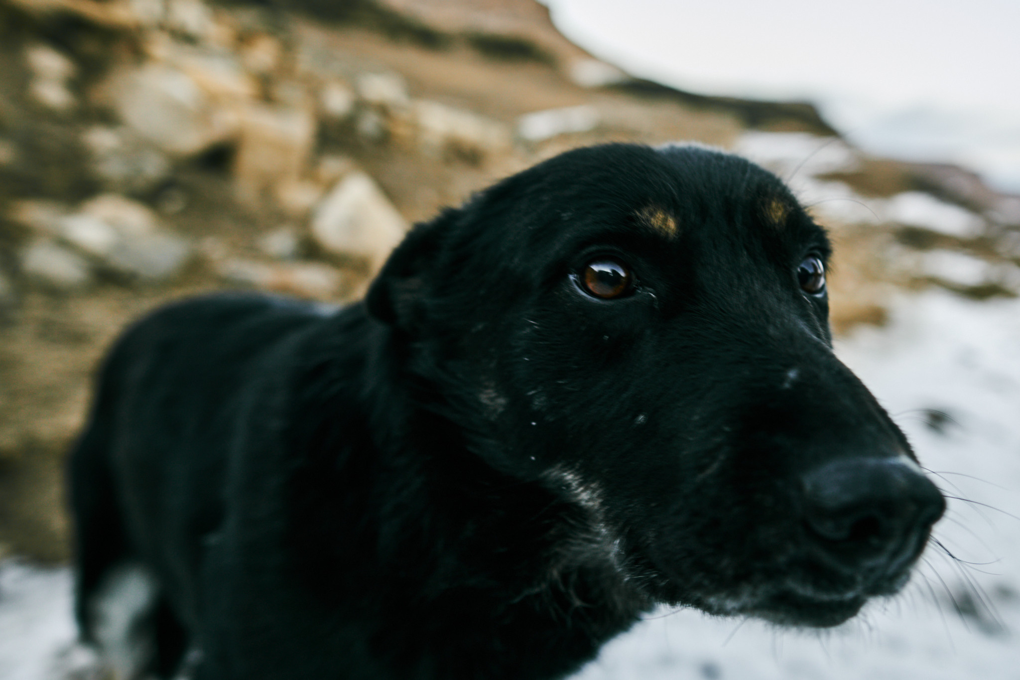 Путешествие на Кавказ в 2021 году. Внедорожные путешествия — OFFROADTRIP