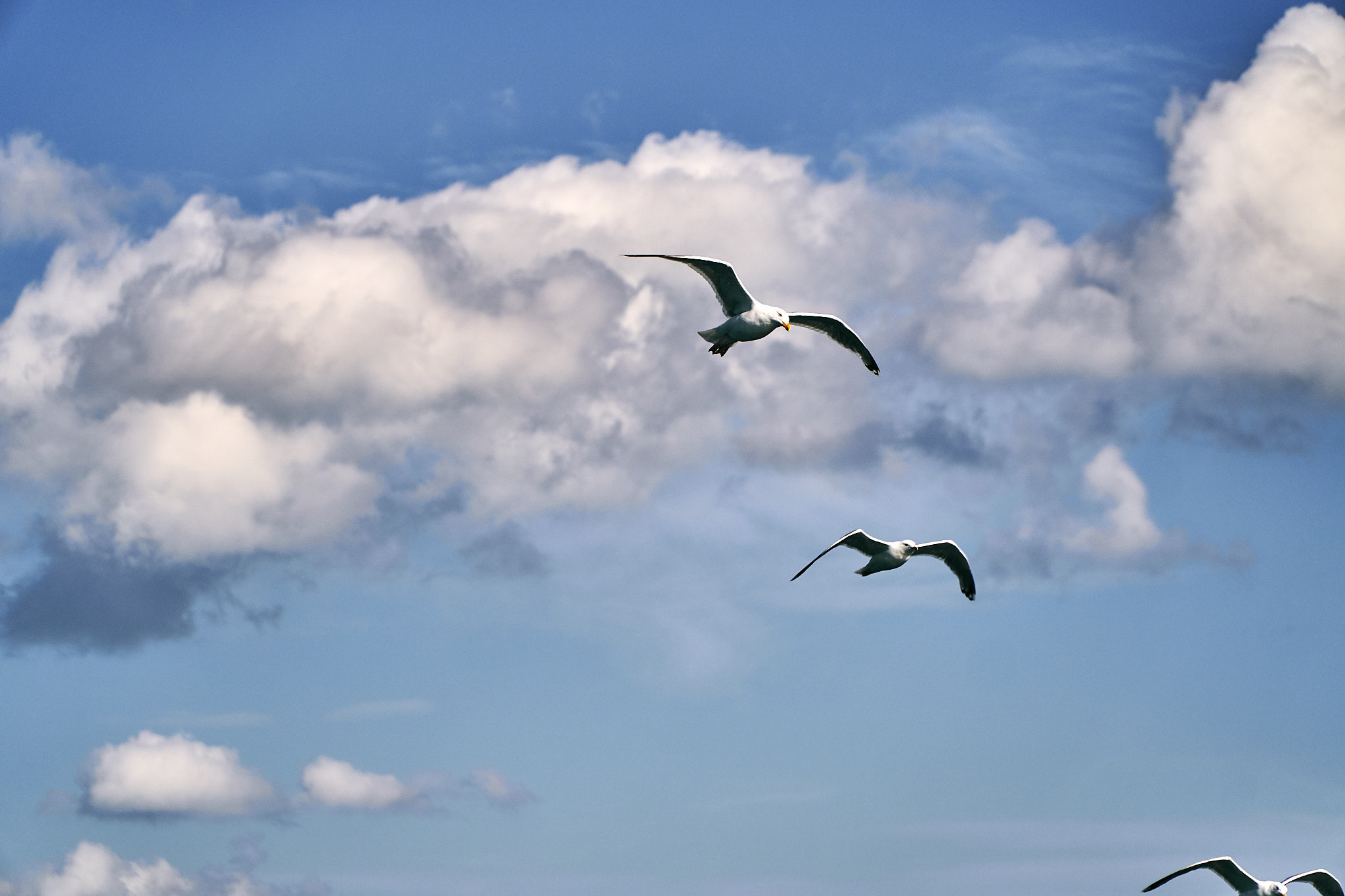 Путешествие на Север в 2019 году. Внедорожные путешествия — OFFROADTRIP