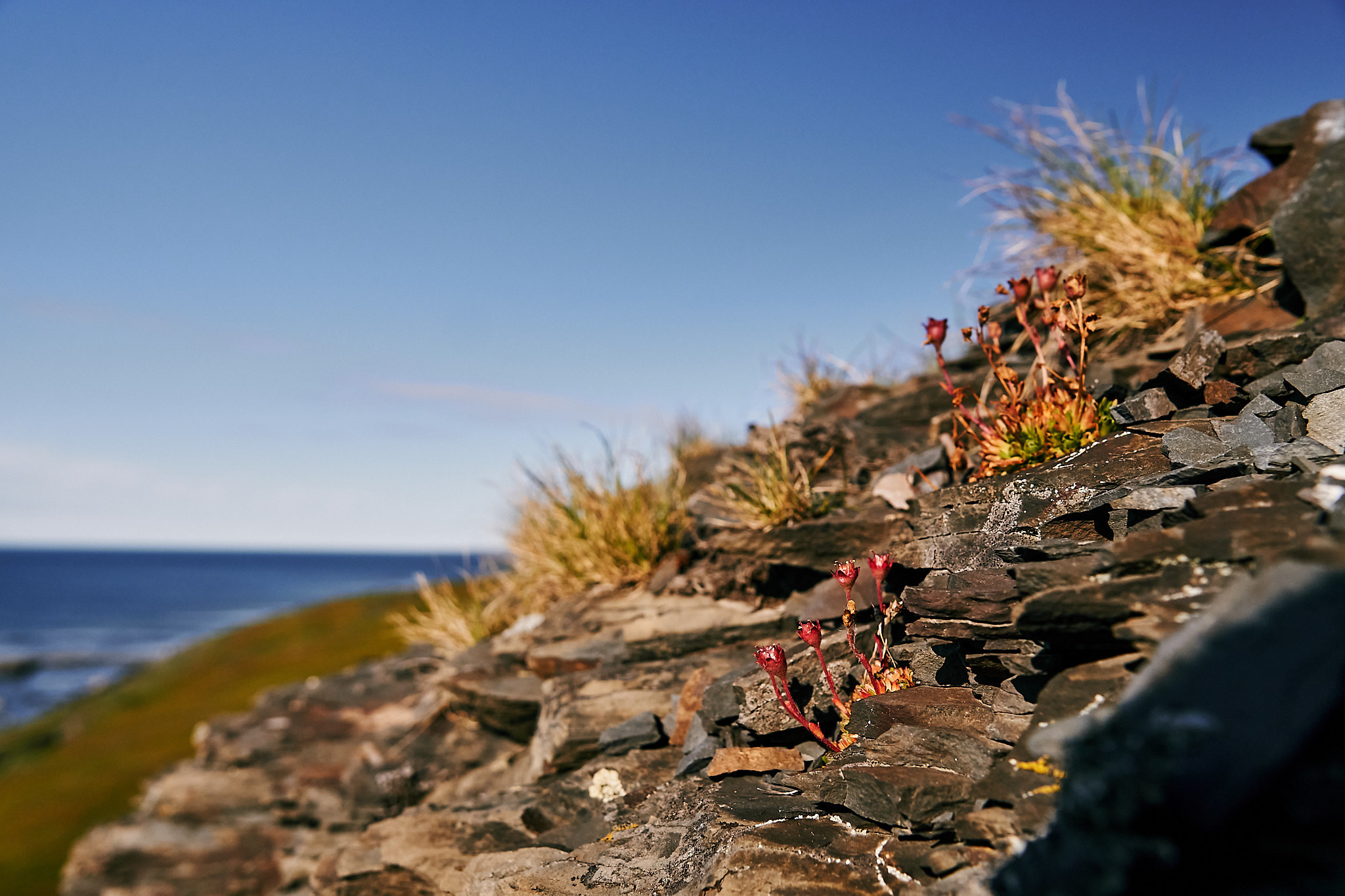 Путешествие на Север в 2018 году. Внедорожные путешествия — OFFROADTRIP