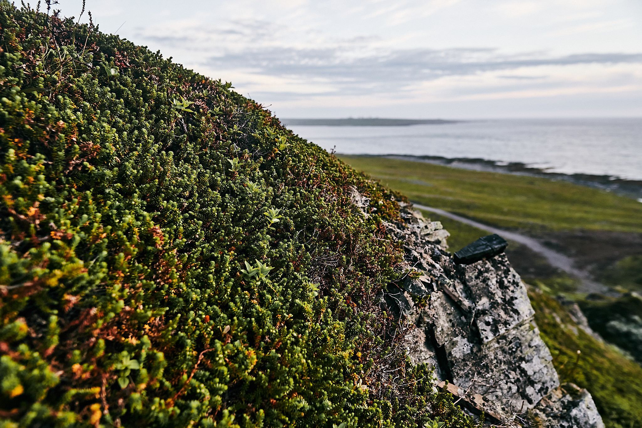 Путешествие на Север в 2018 году. Внедорожные путешествия — OFFROADTRIP
