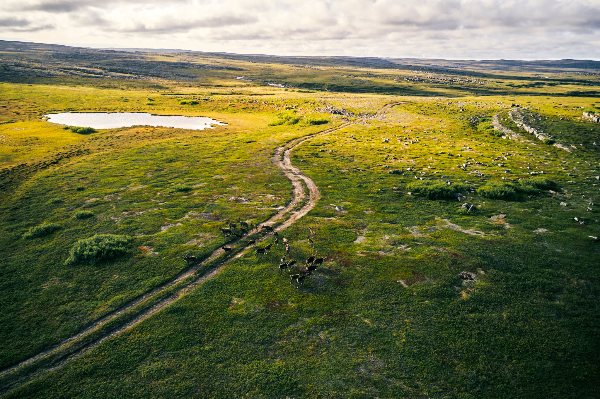 Путешествие на Север в 2021 году. Внедорожные путешествия — OFFROADTRIP