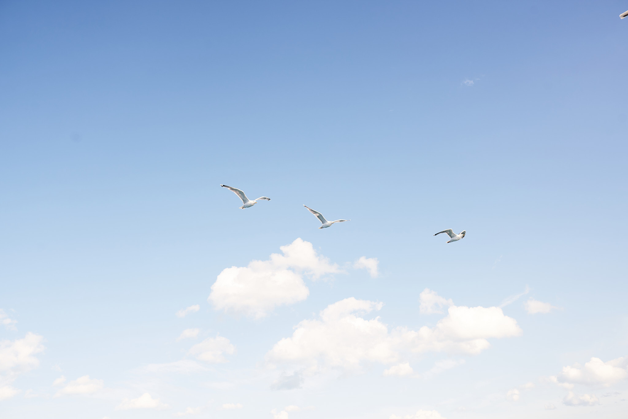 Путешествие на Север в 2019 году. Внедорожные путешествия — OFFROADTRIP