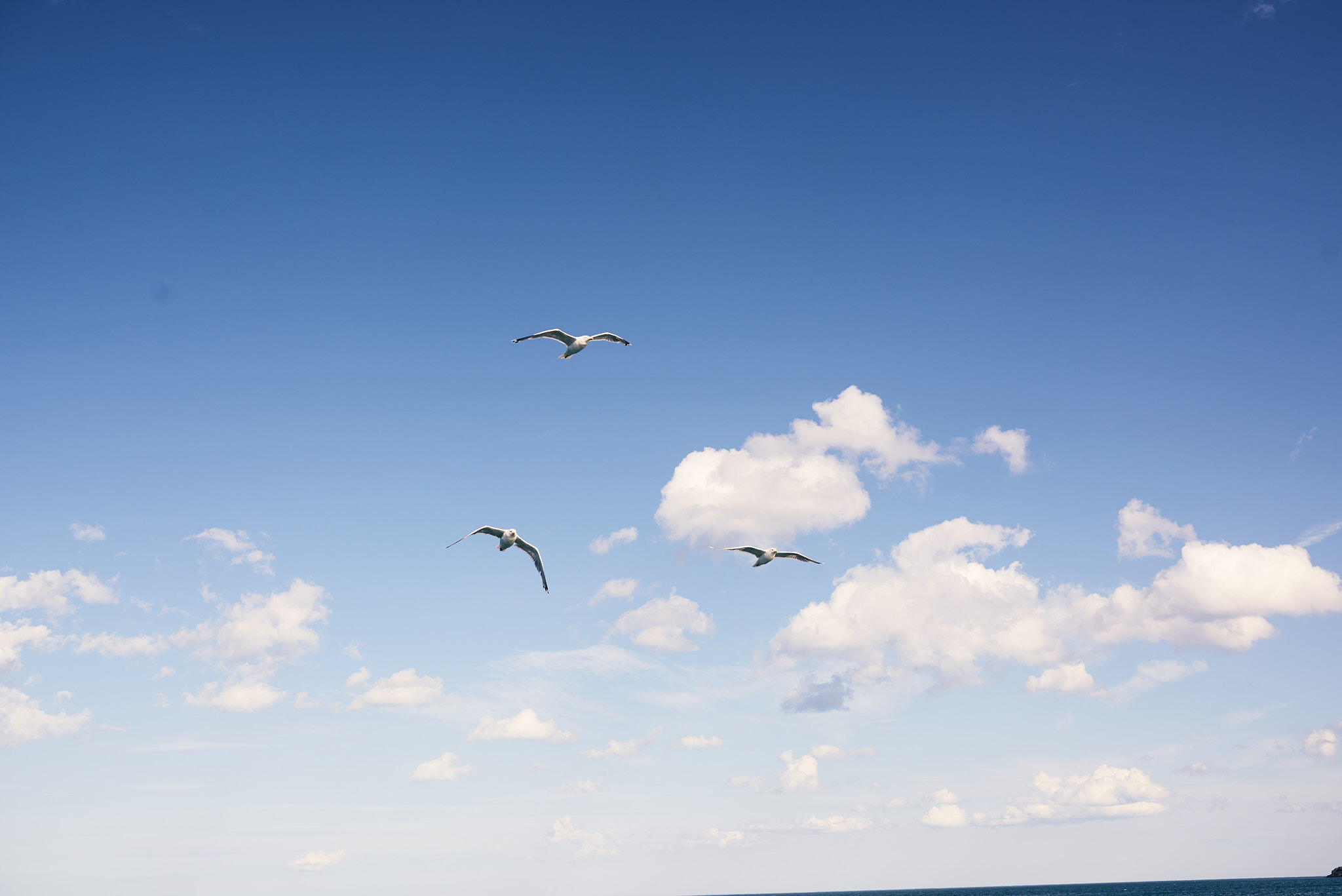 Путешествие на Север в 2019 году. Внедорожные путешествия — OFFROADTRIP