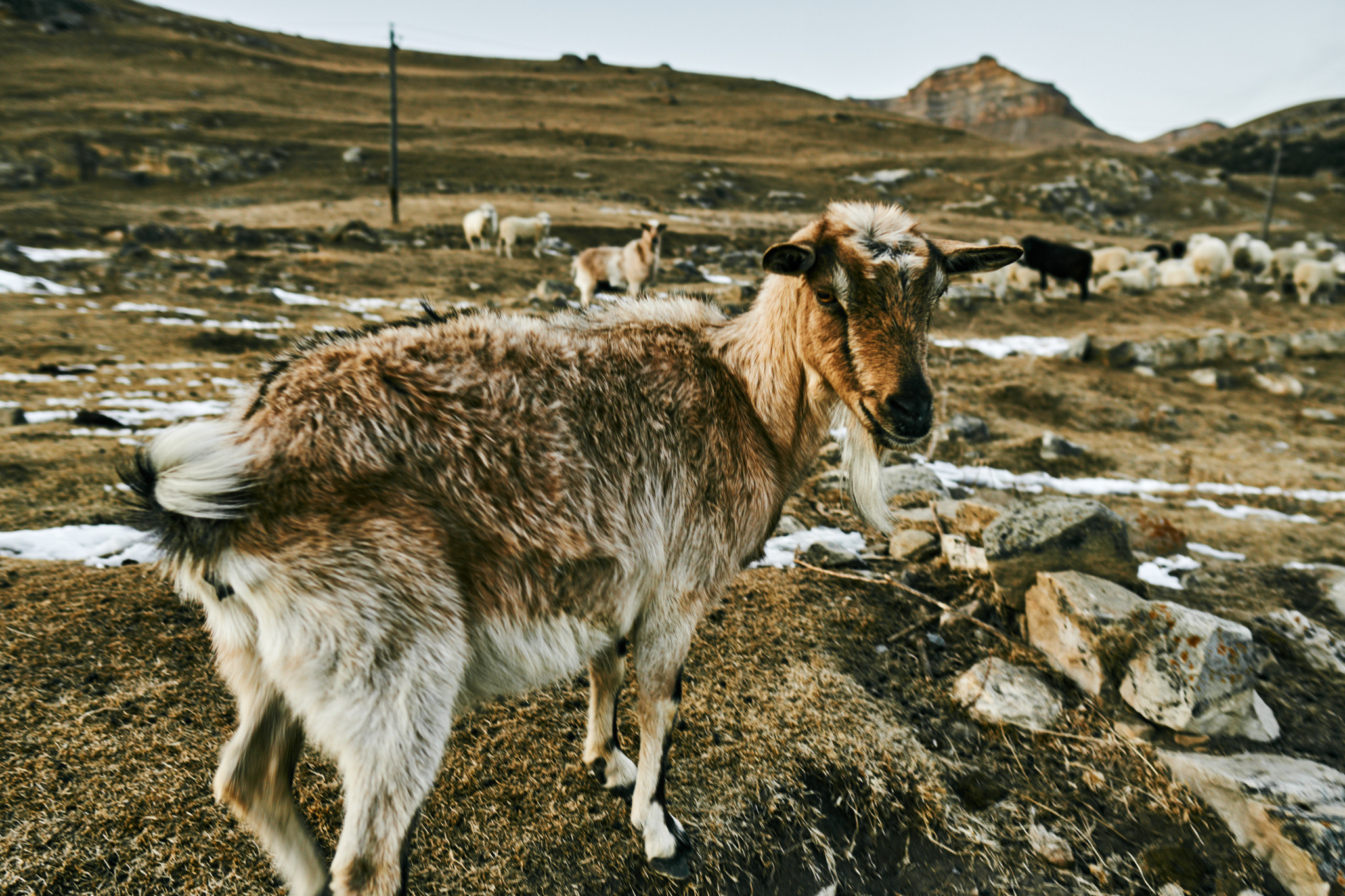 Путешествие на Кавказ в 2021 году. Внедорожные путешествия — OFFROADTRIP